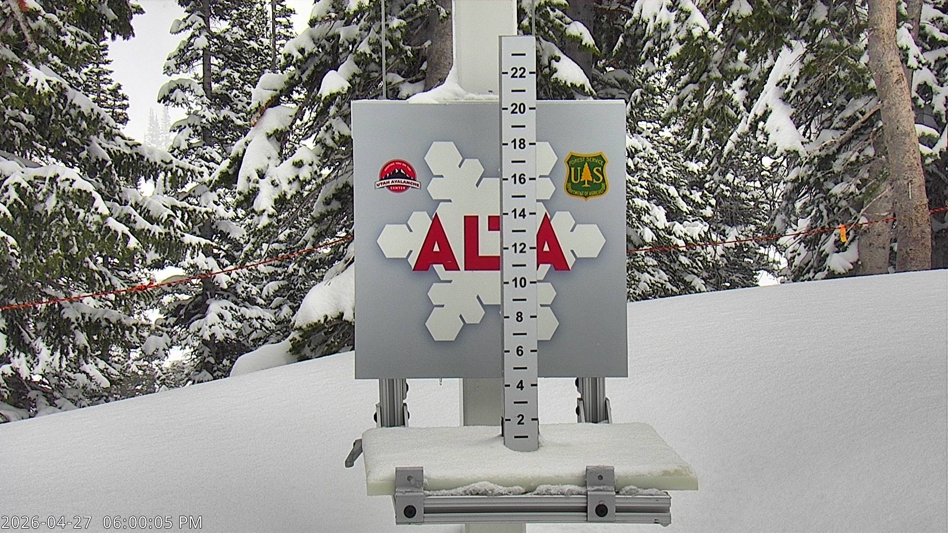 Alta Ski Area snow stake cam