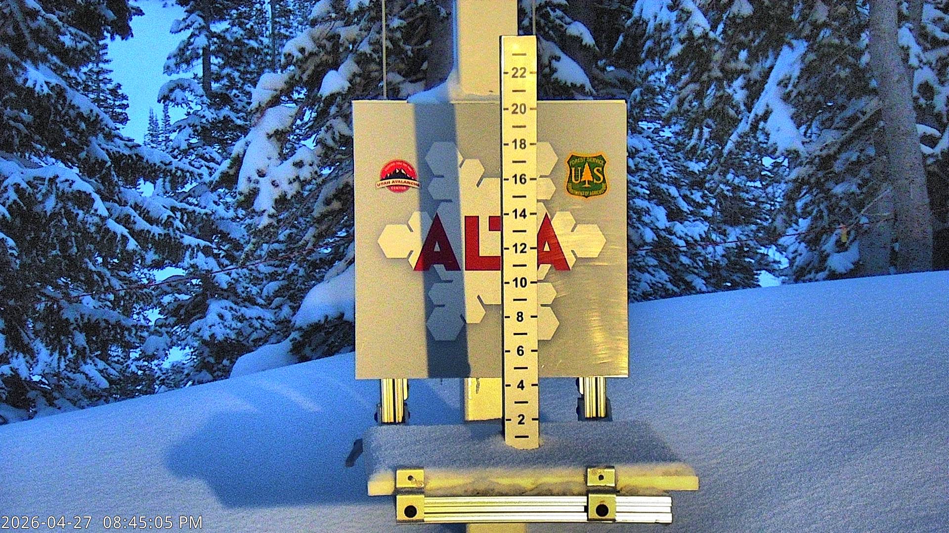 Alta Ski Area snow stake cam