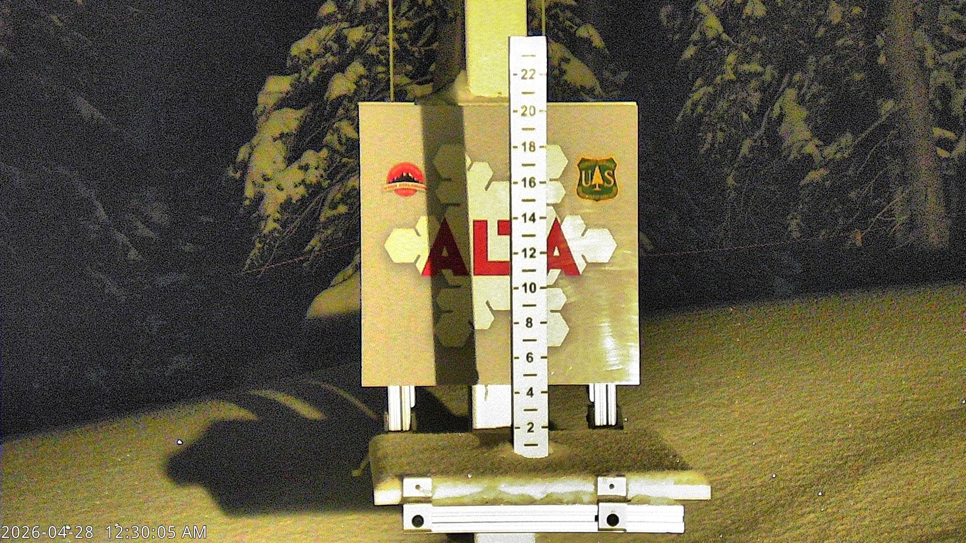 Alta Ski Area snow stake cam
