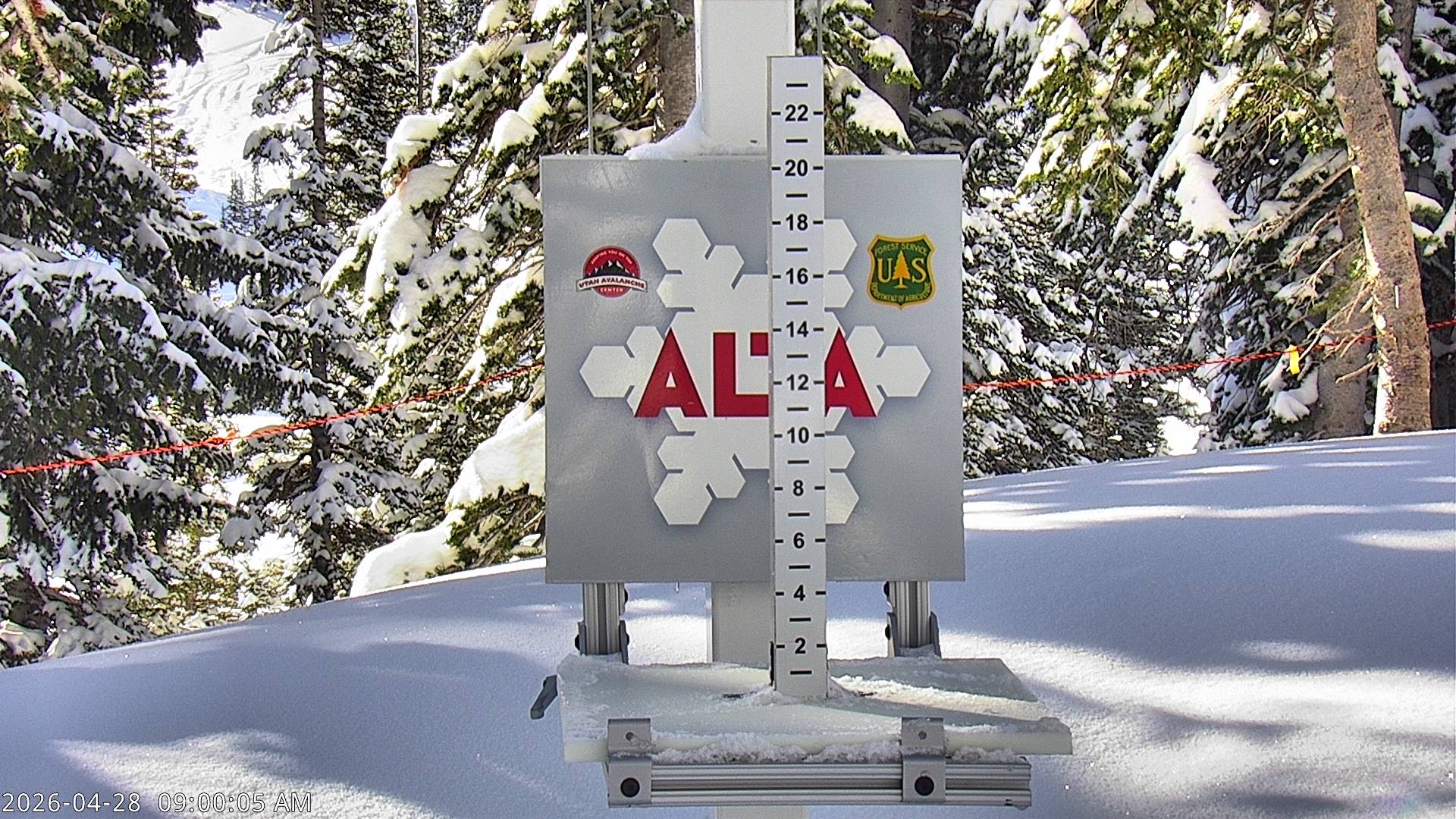 Alta Ski Area snow stake cam