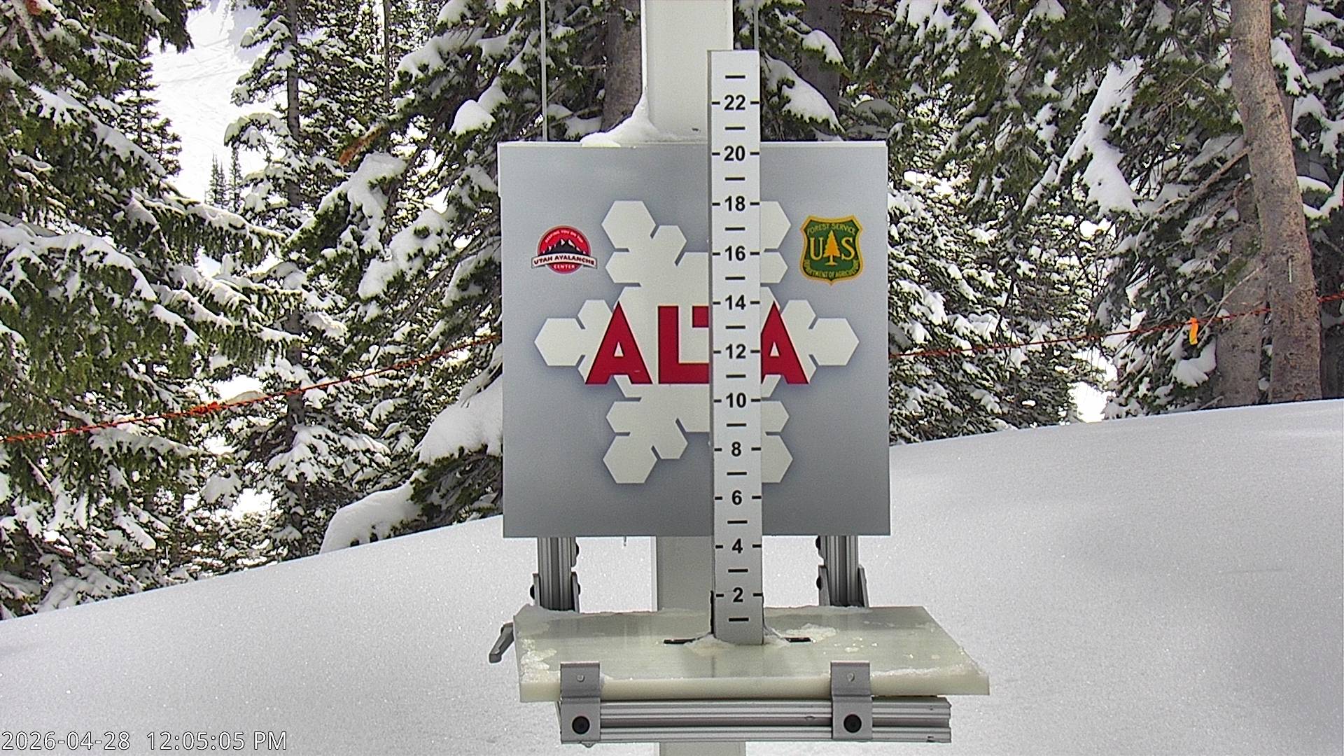 Alta Ski Area snow stake cam
