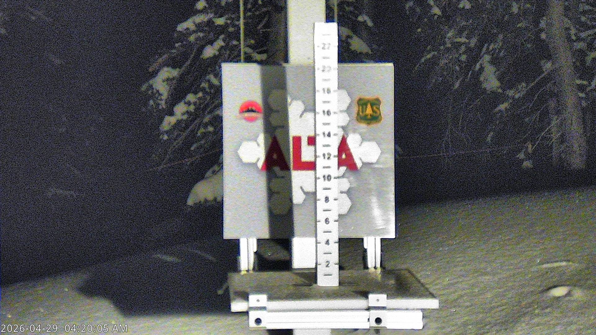 Alta Ski Area snow stake cam