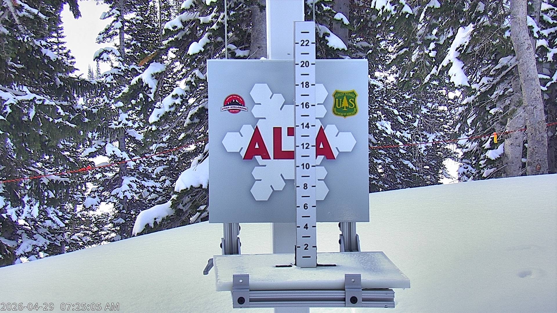 Alta Ski Area snow stake cam