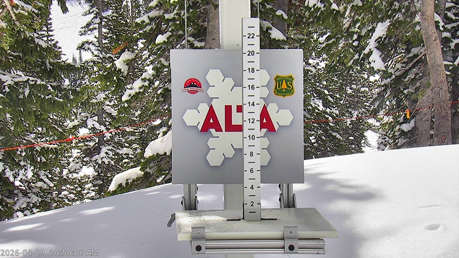 Alta Ski Area snow stake cam