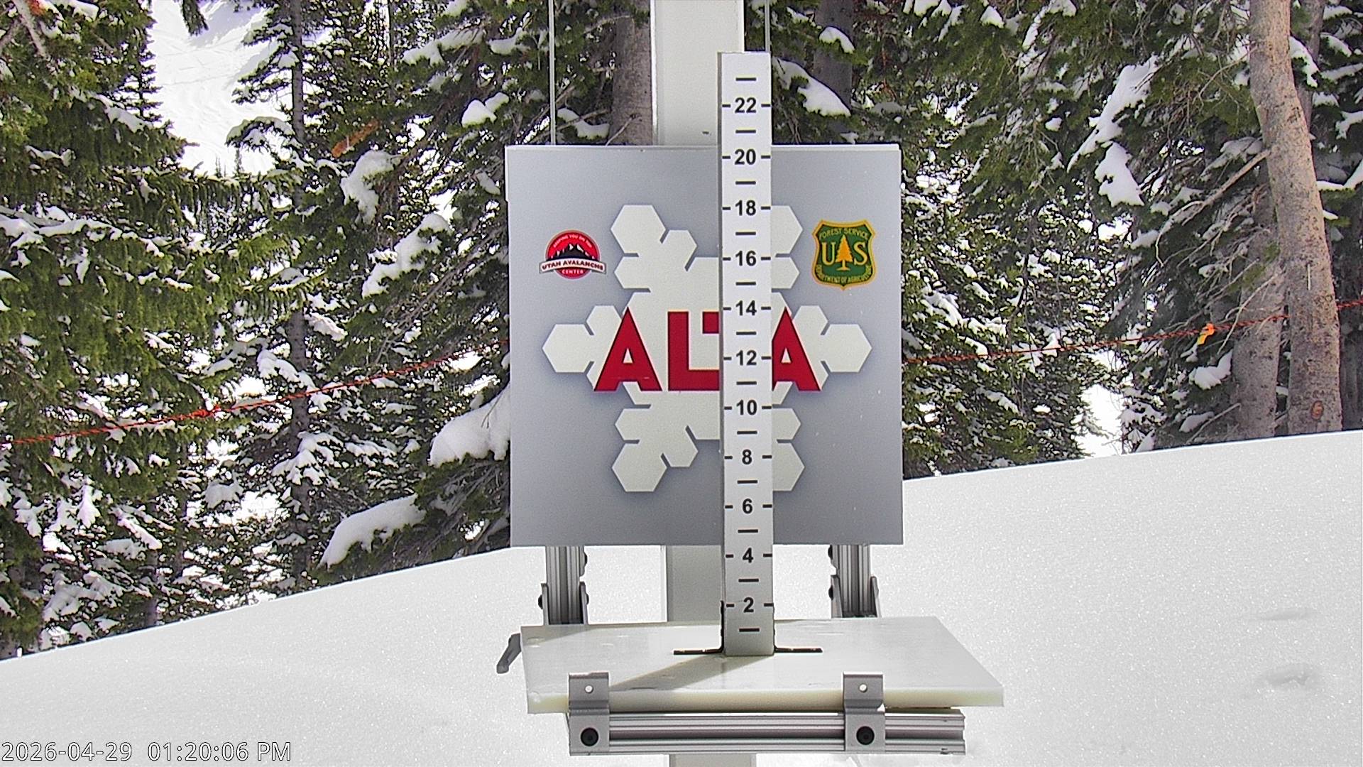 Alta Ski Area snow stake cam