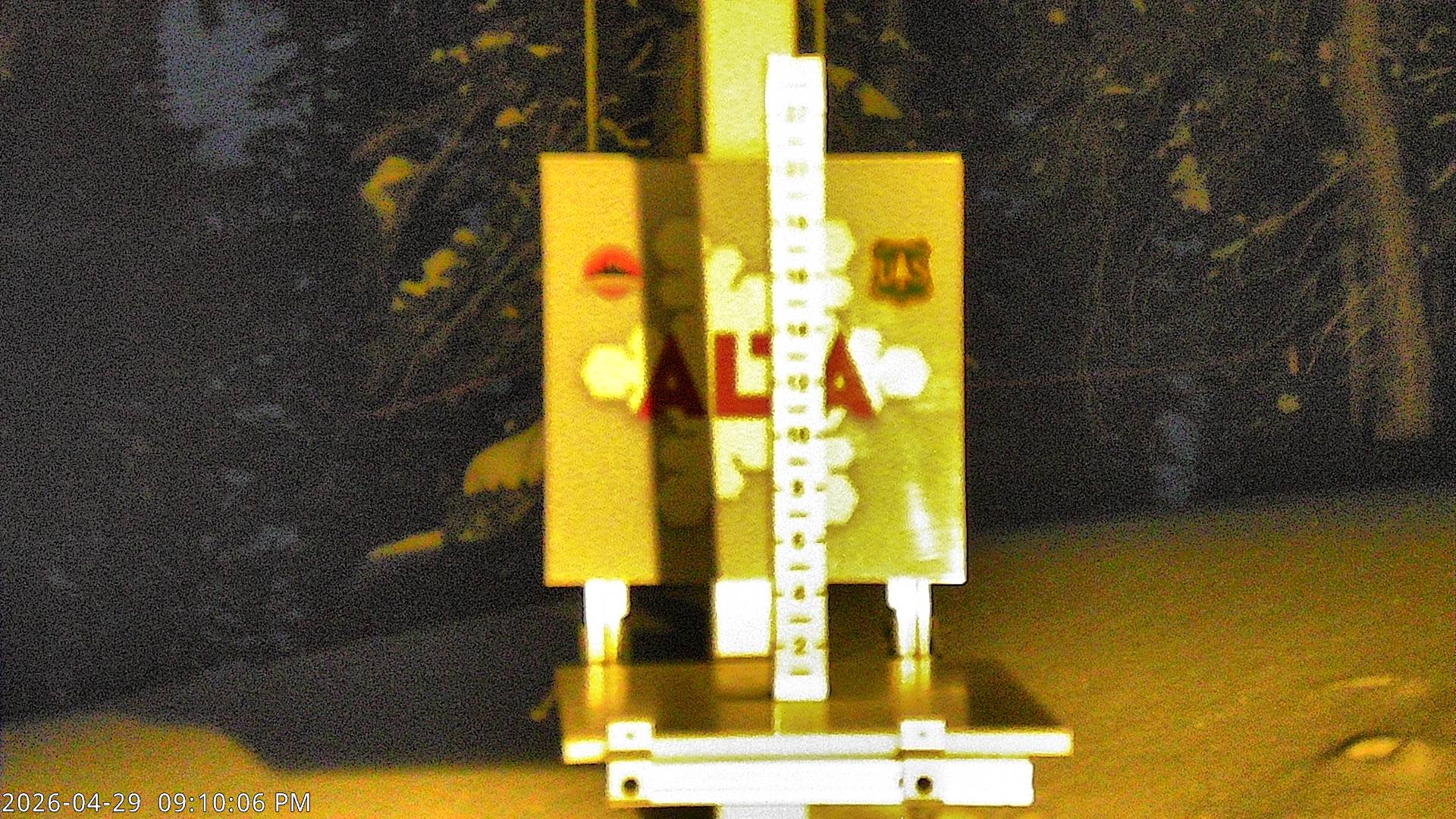 Alta Ski Area snow stake cam