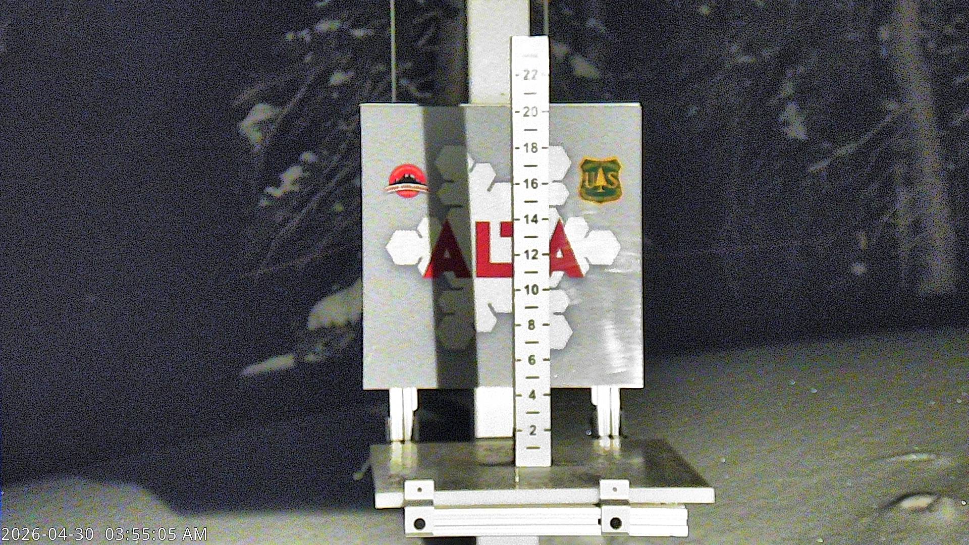 Alta Ski Area snow stake cam