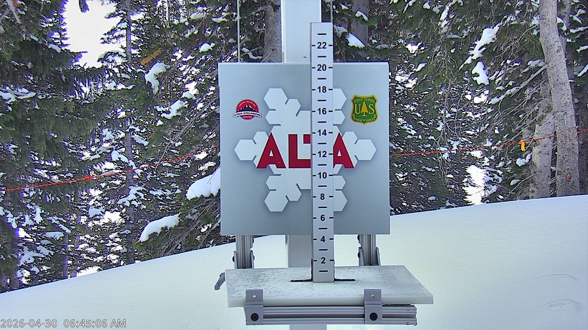 Alta Ski Area snow stake cam
