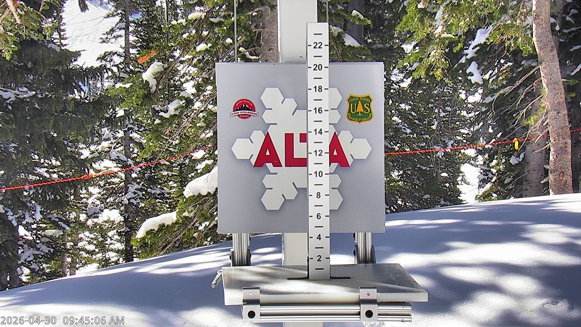 Alta Ski Area snow stake cam