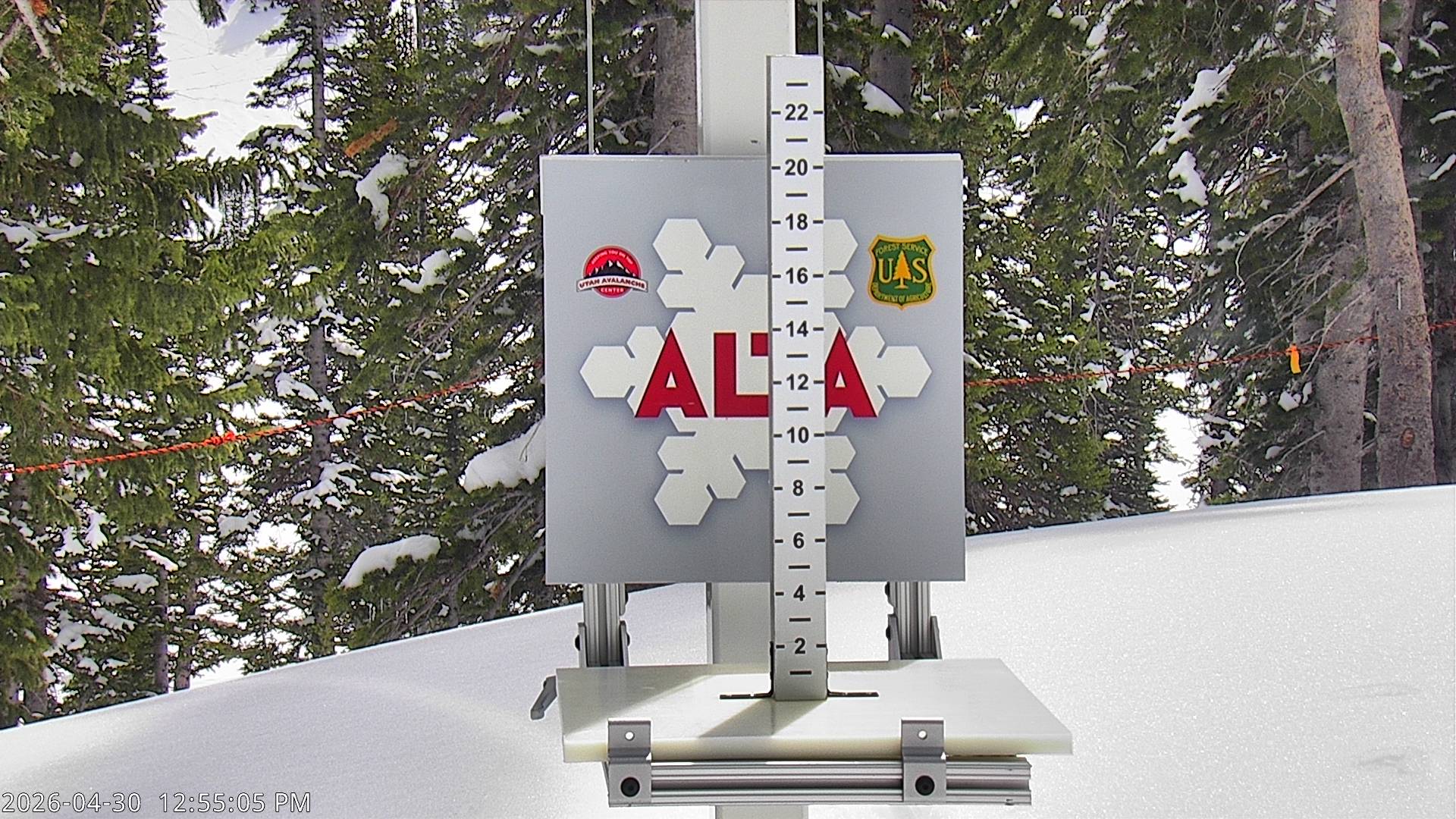 Alta Ski Area snow stake cam