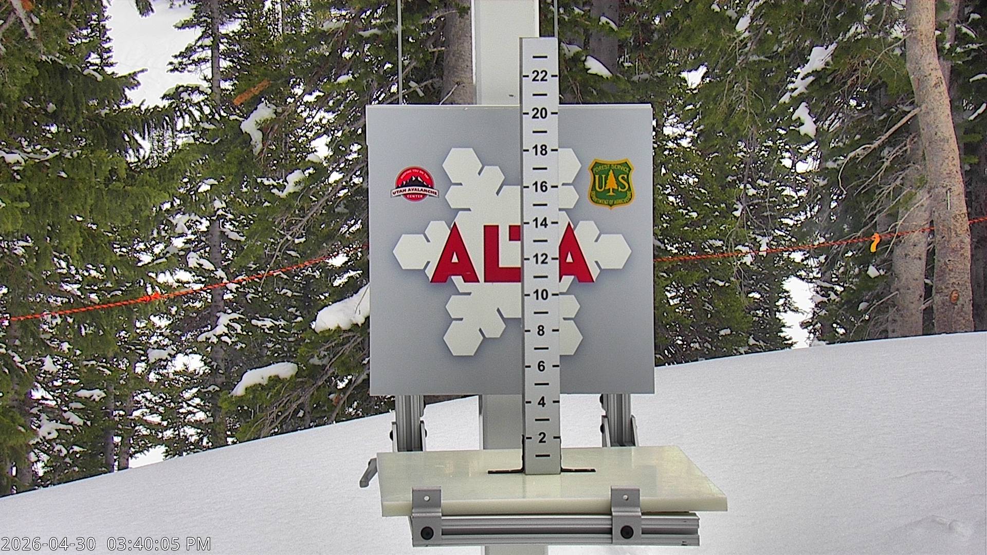 Alta Ski Area snow stake cam