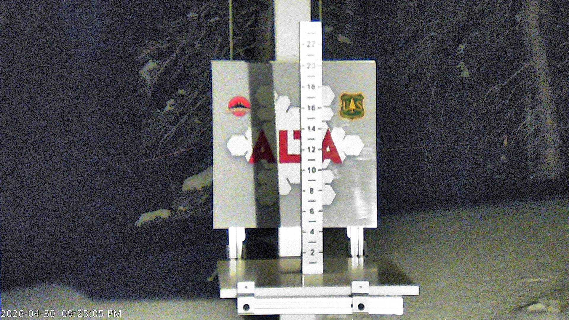 Alta Ski Area snow stake cam