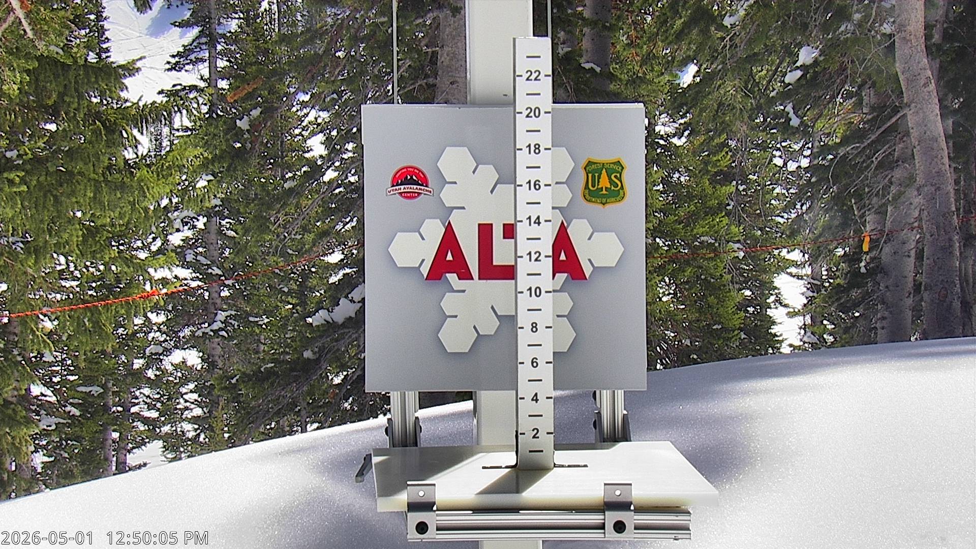 Alta Ski Area snow stake cam