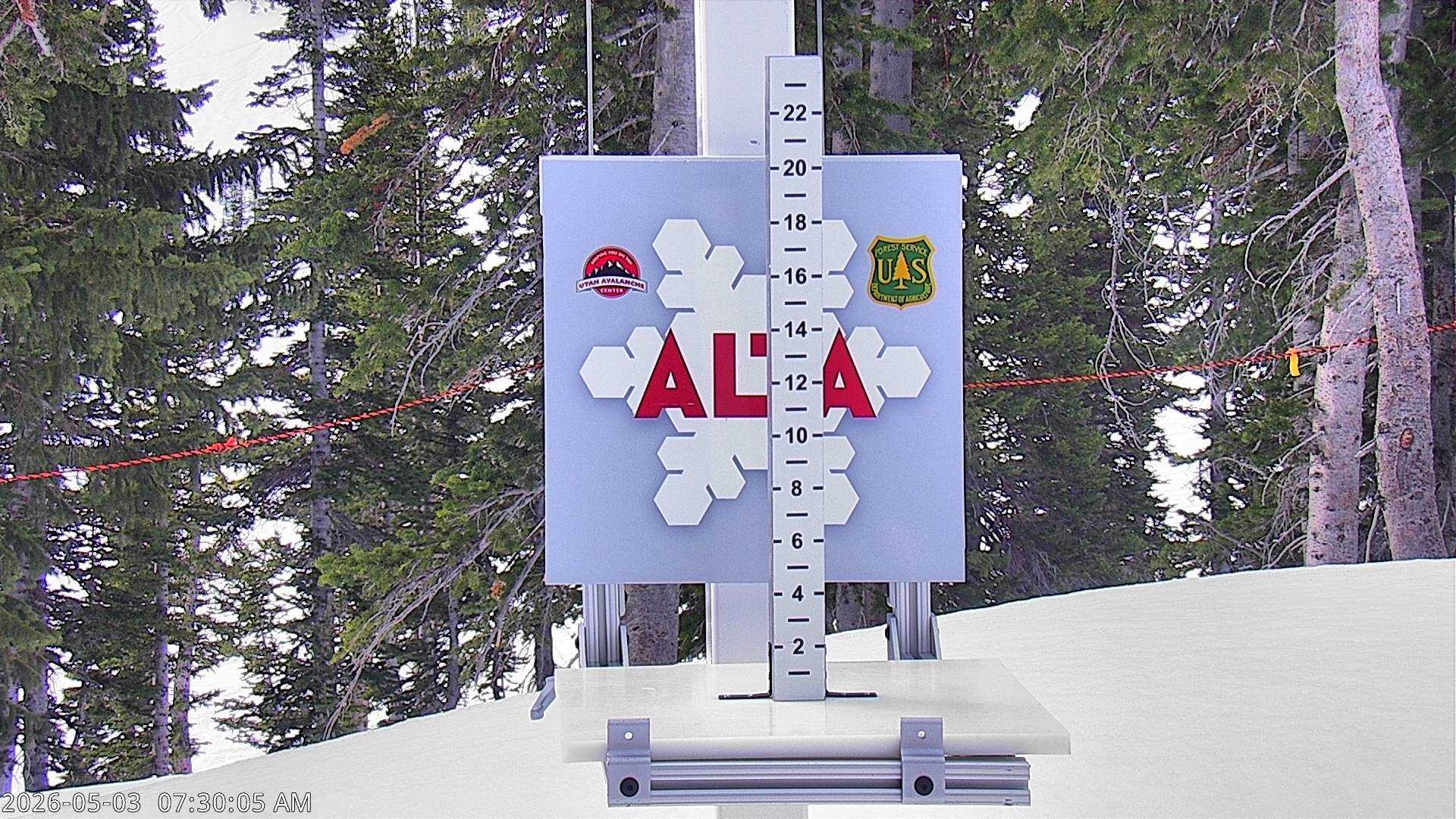 Alta Ski Area snow stake cam