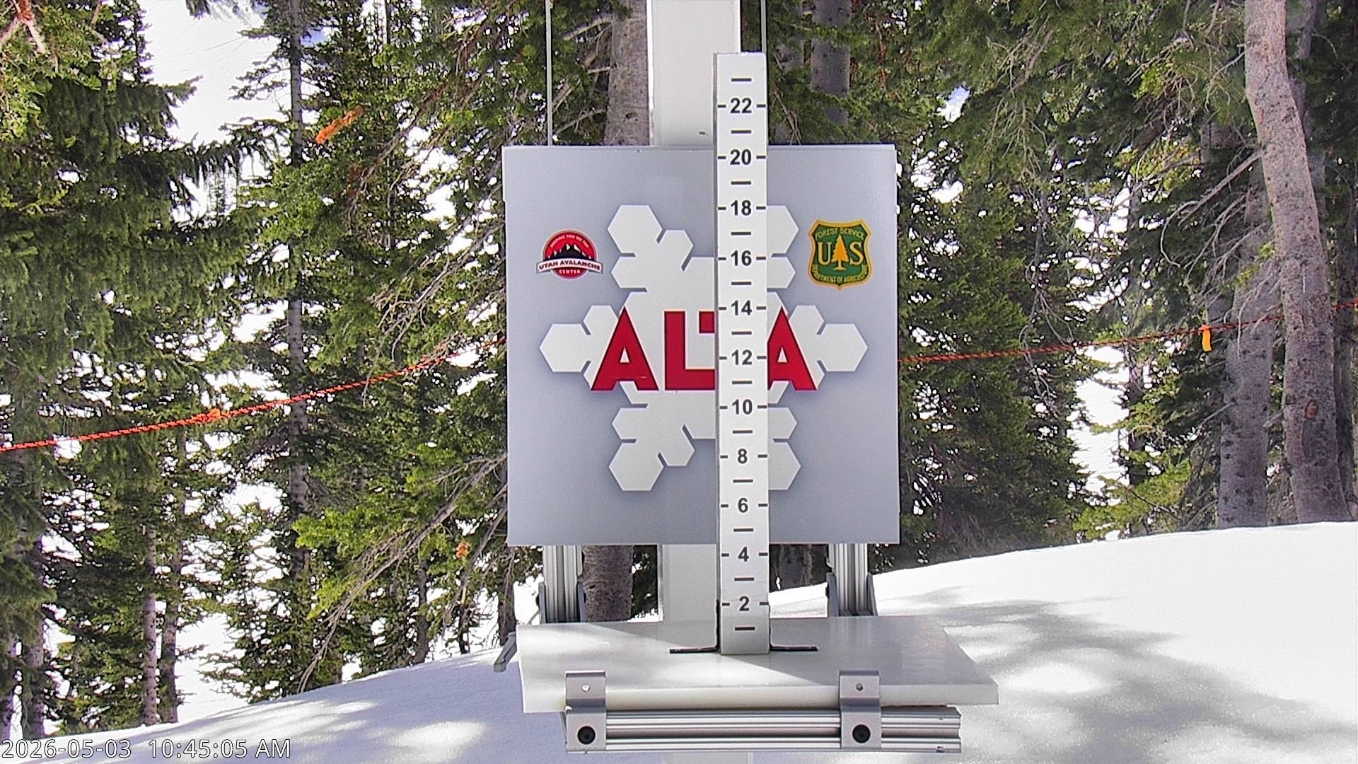 Alta Ski Area snow stake cam