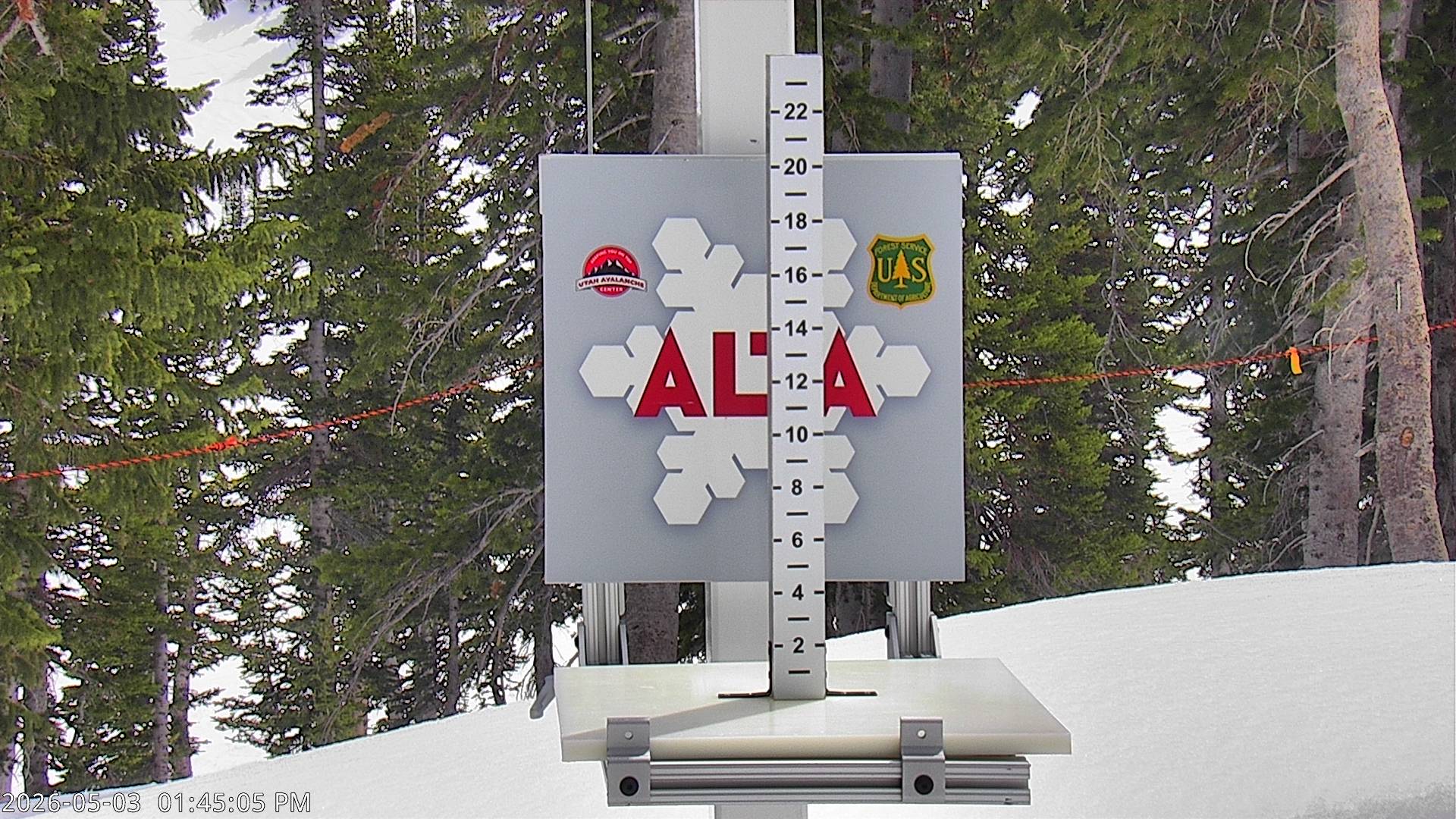 Alta Ski Area snow stake cam