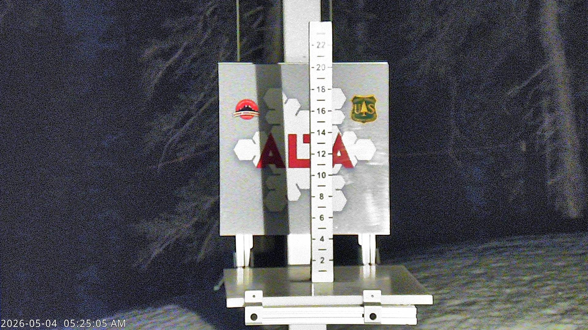 Alta Ski Area snow stake cam