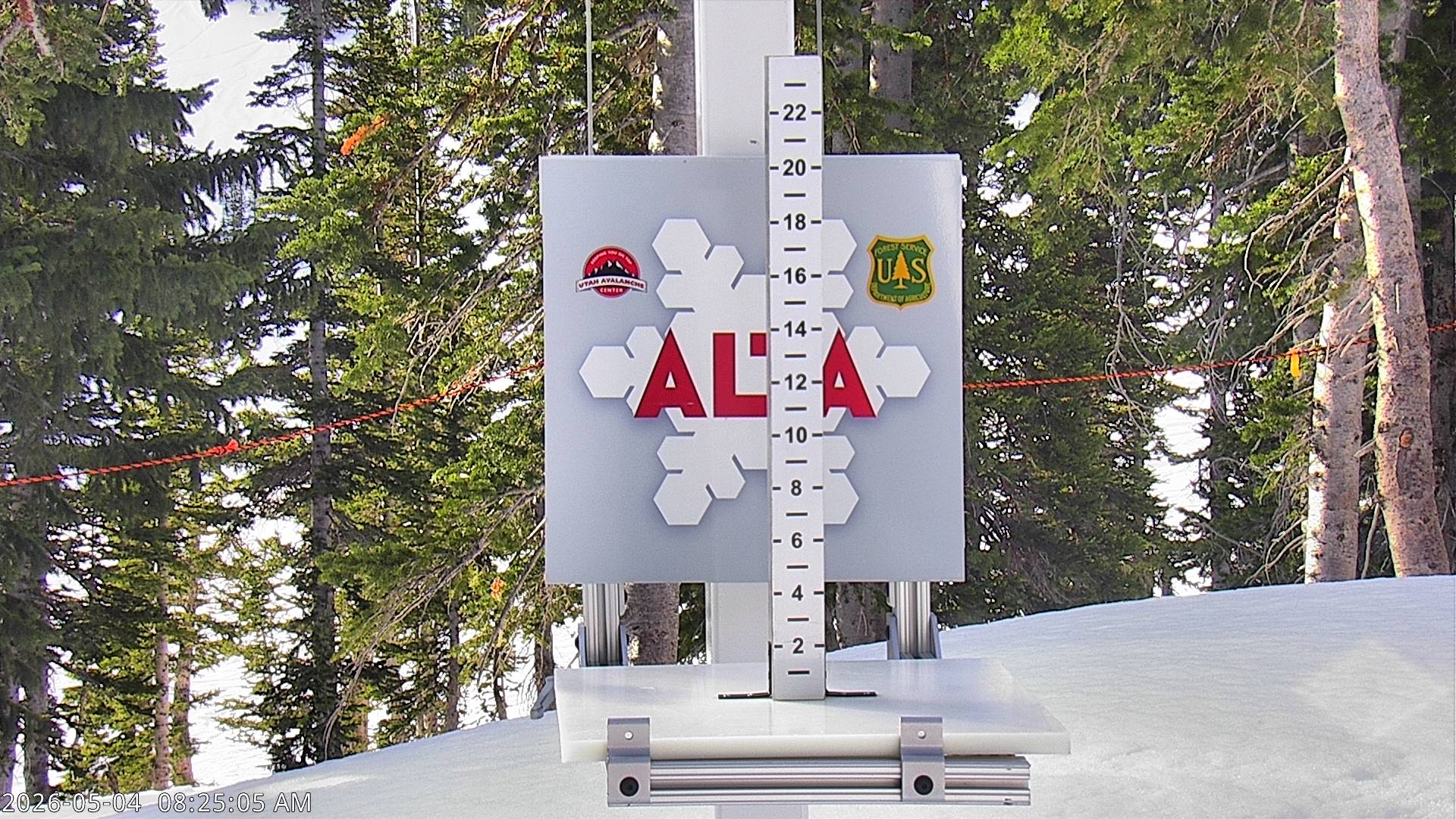 Alta Ski Area snow stake cam