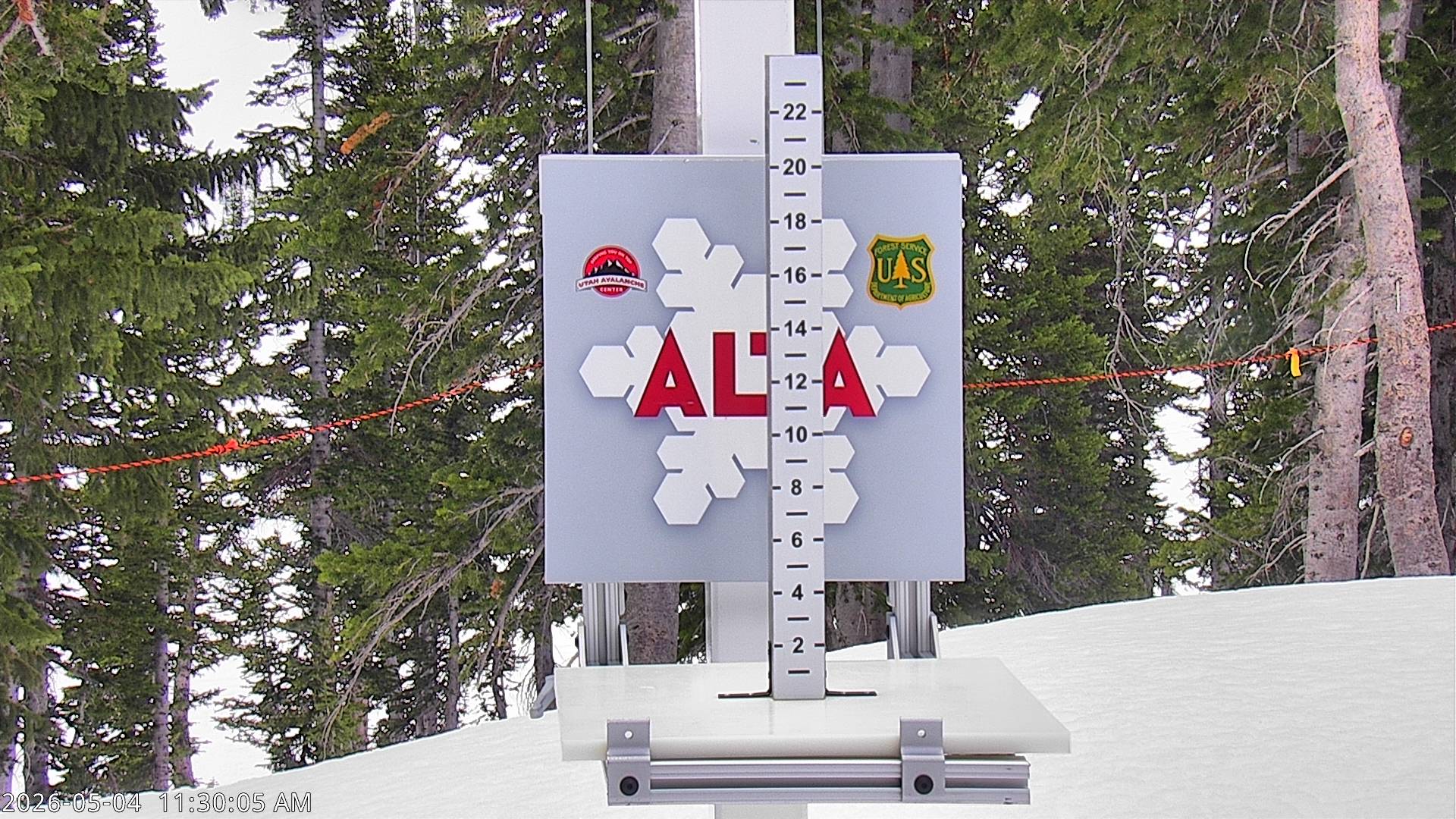 Alta Ski Area snow stake cam