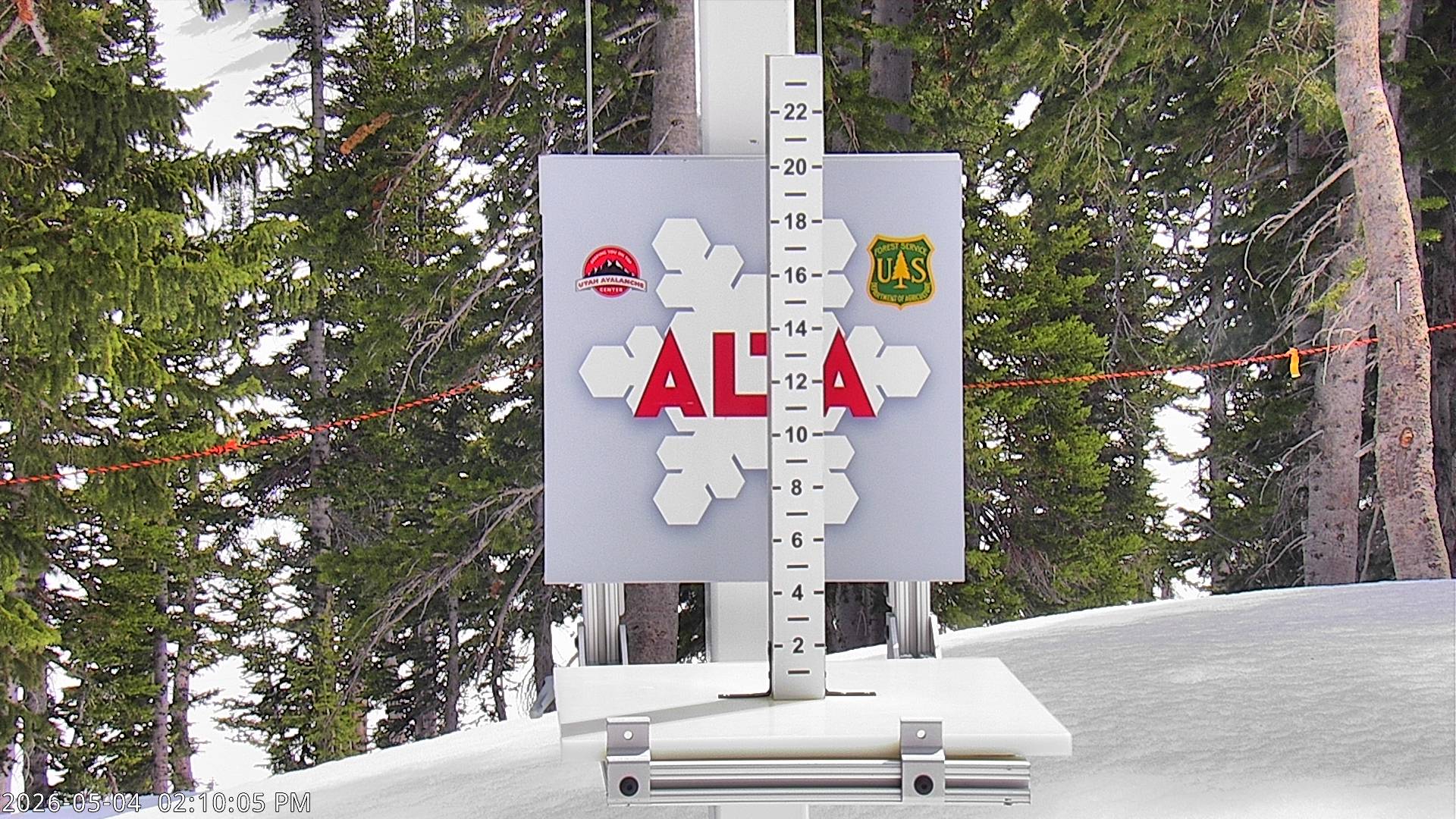 Alta Ski Area snow stake cam