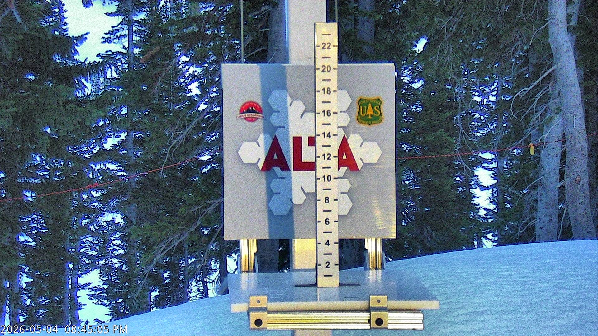Alta Ski Area snow stake cam