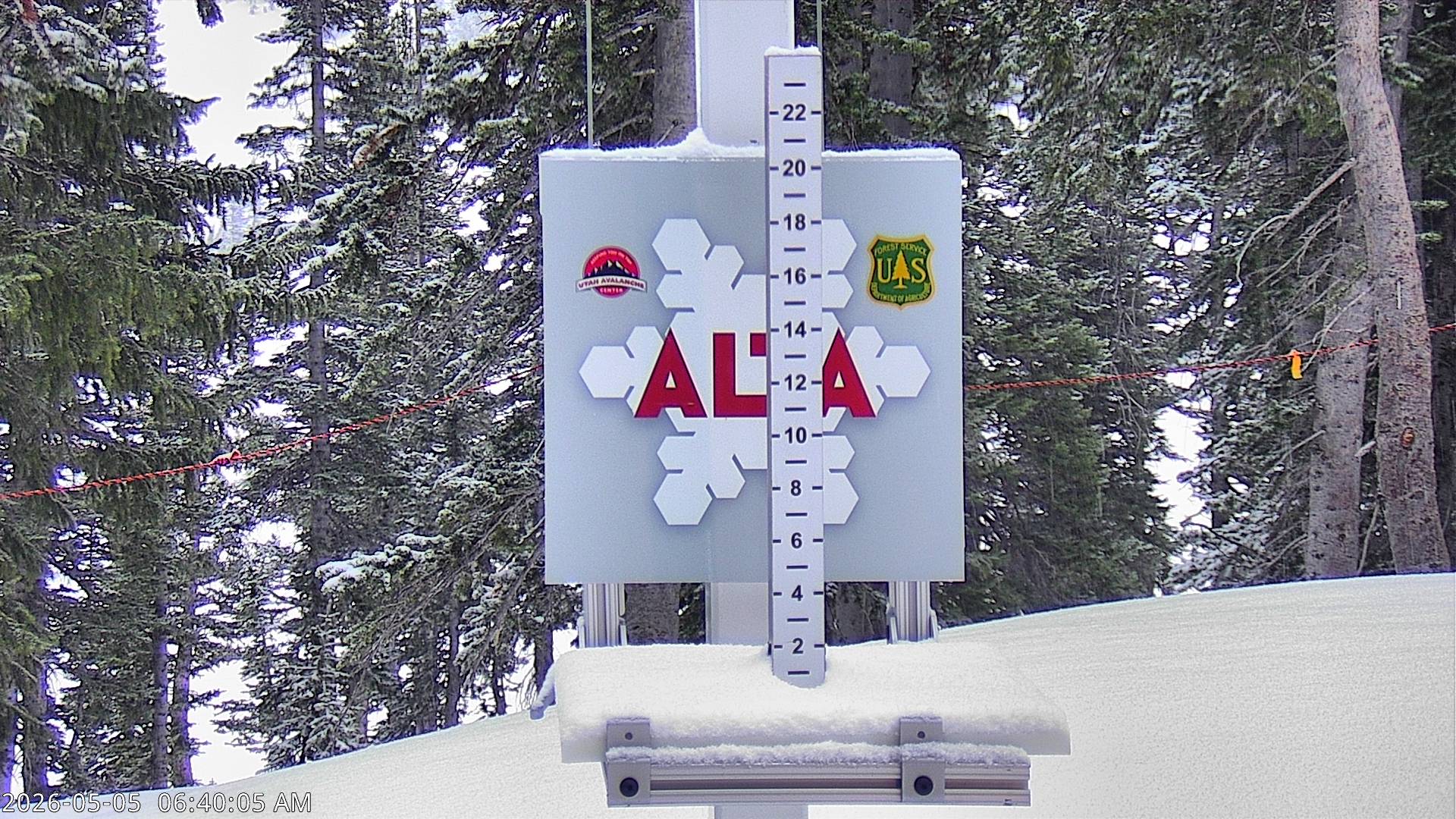 Alta Ski Area snow stake cam
