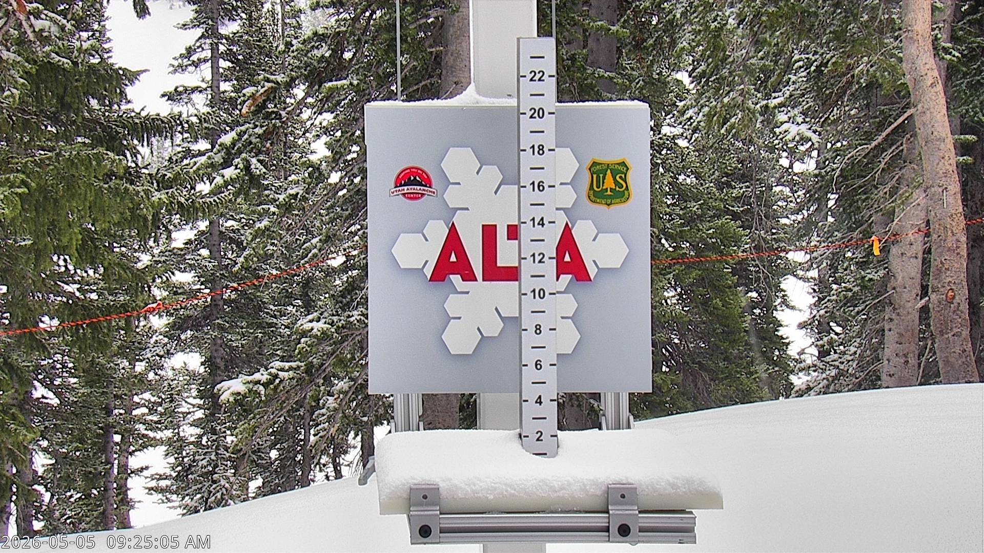 Alta Ski Area snow stake cam