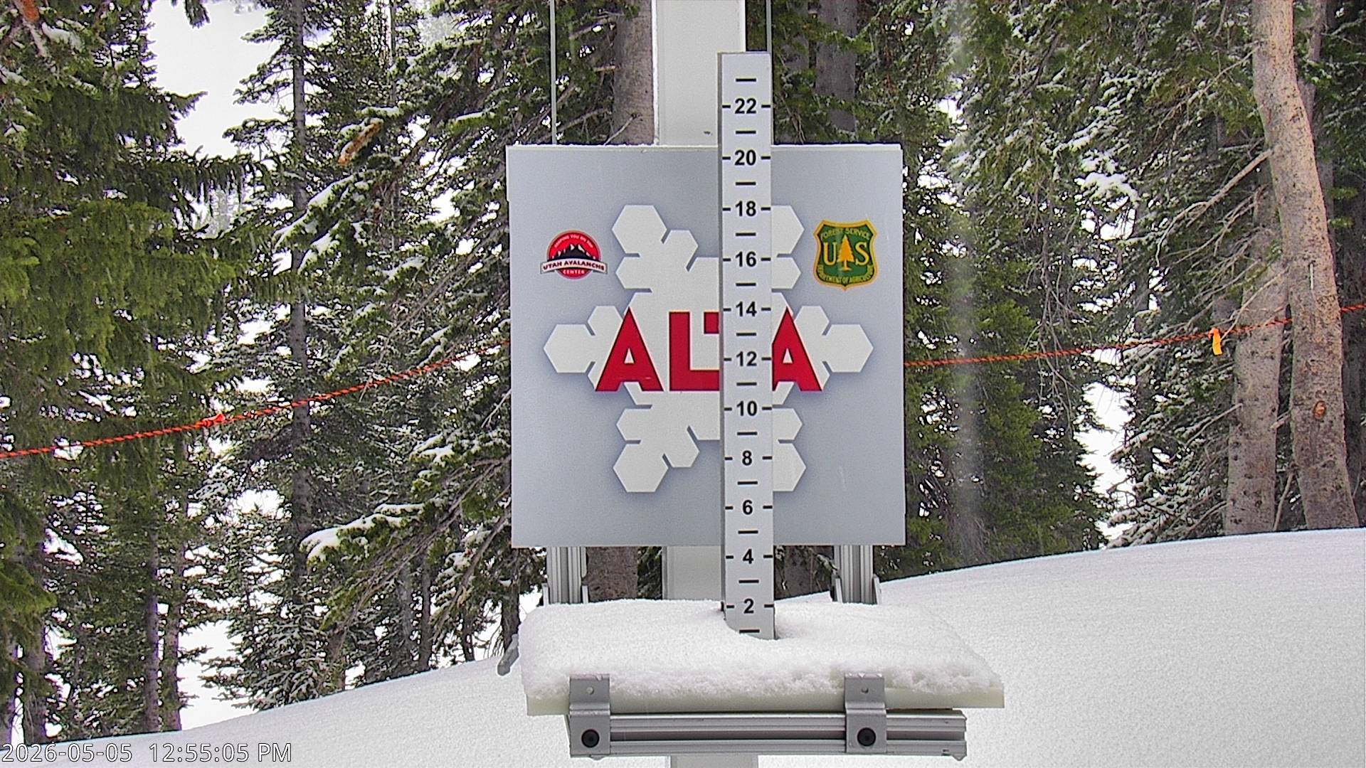 Alta Ski Area snow stake cam