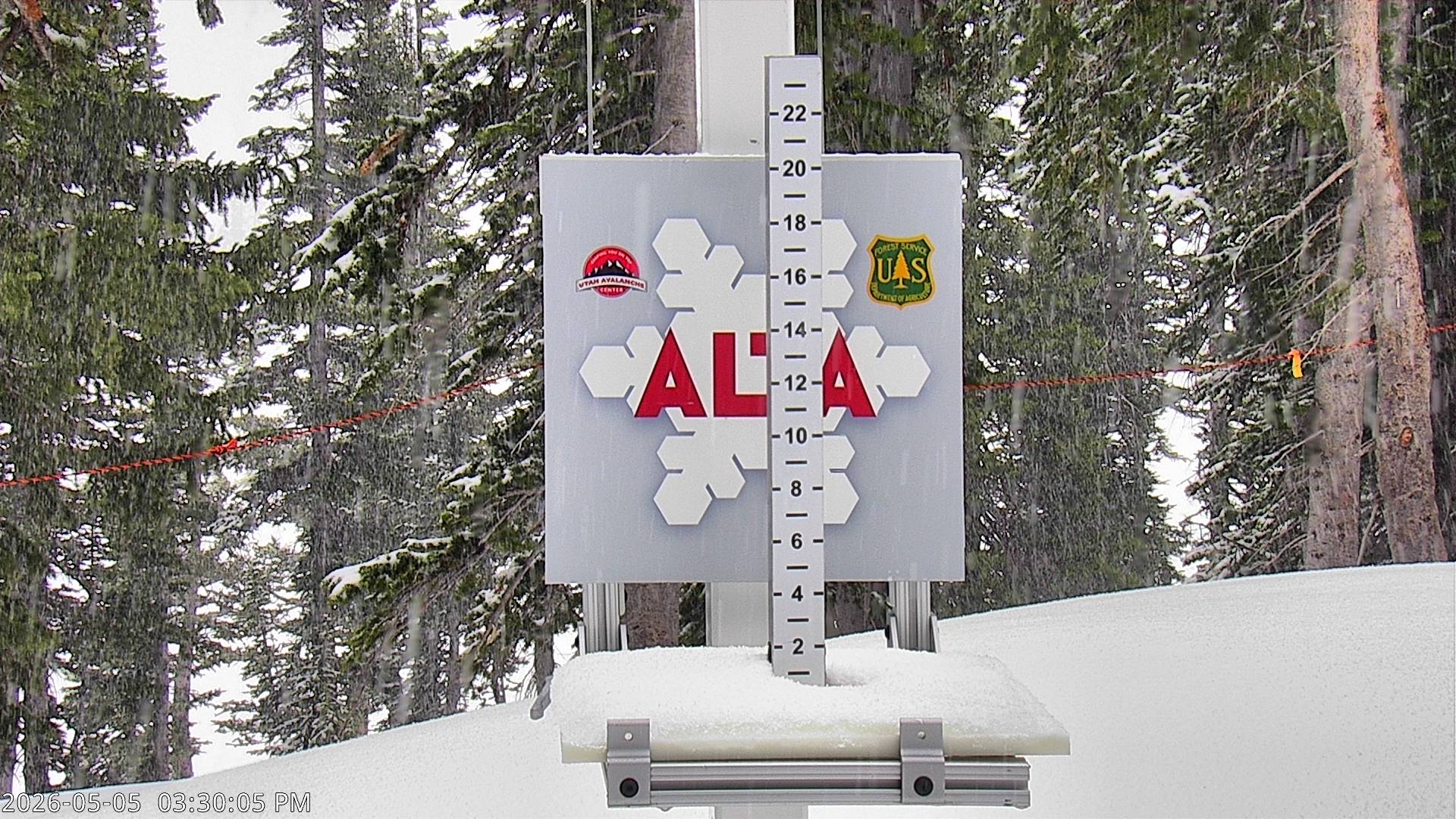 Alta Ski Area snow stake cam
