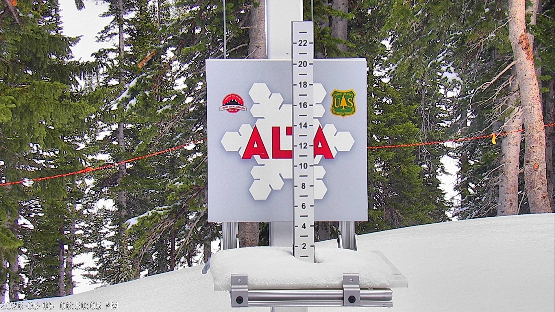 Alta Ski Area snow stake cam