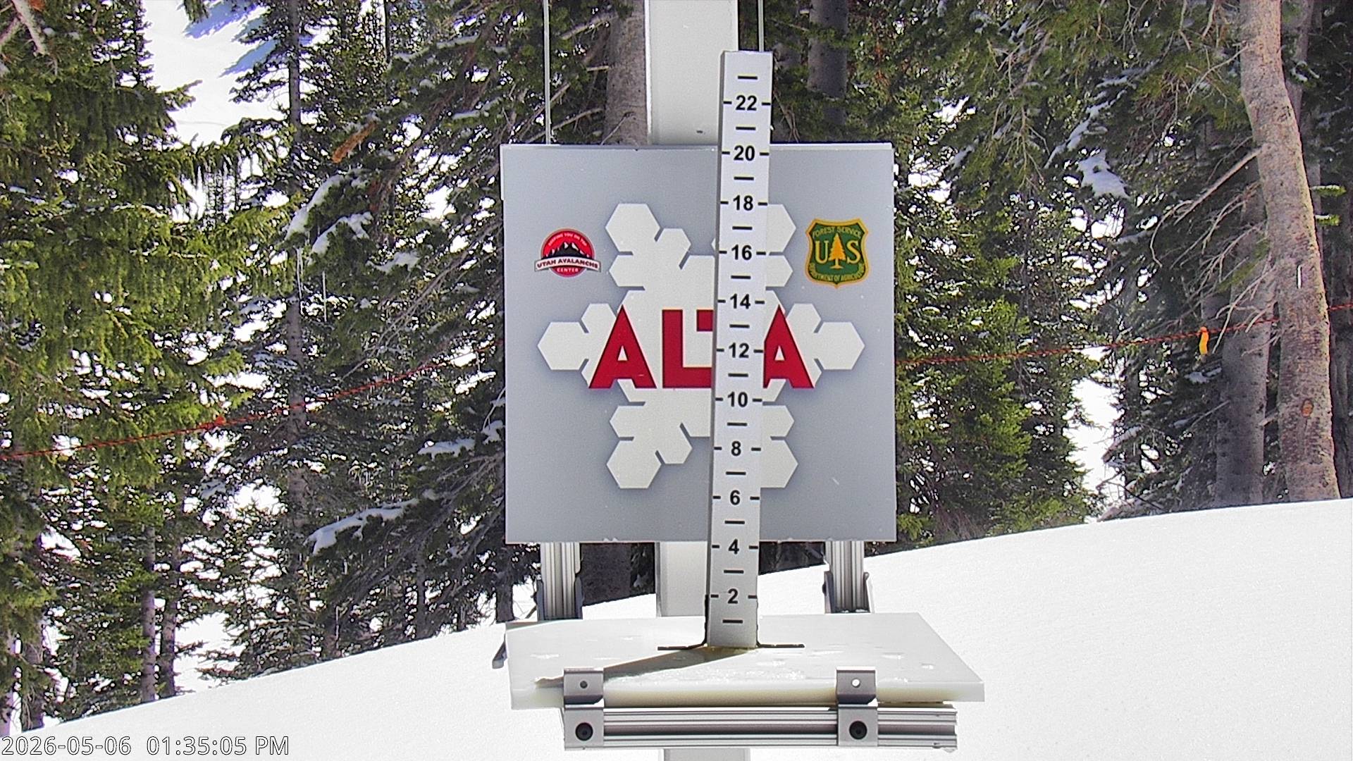 Alta Ski Area snow stake cam