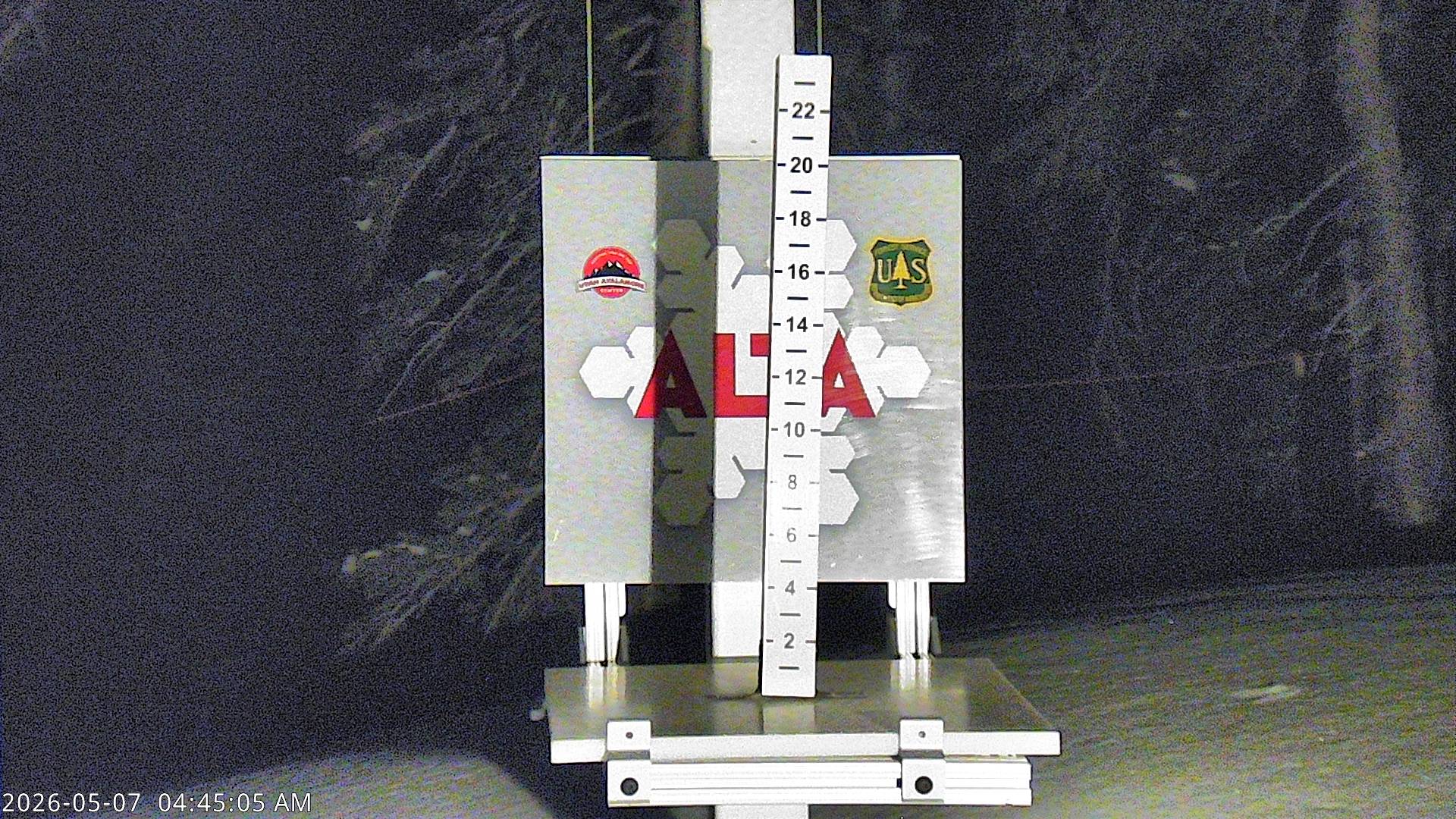 Alta Ski Area snow stake cam