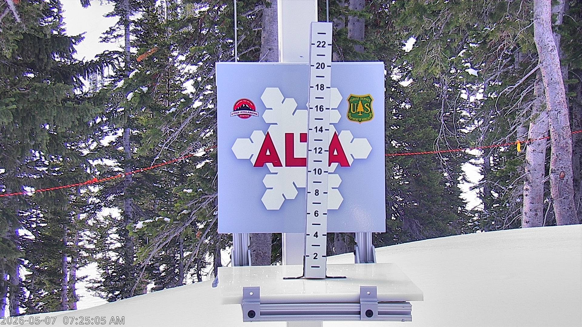 Alta Ski Area snow stake cam