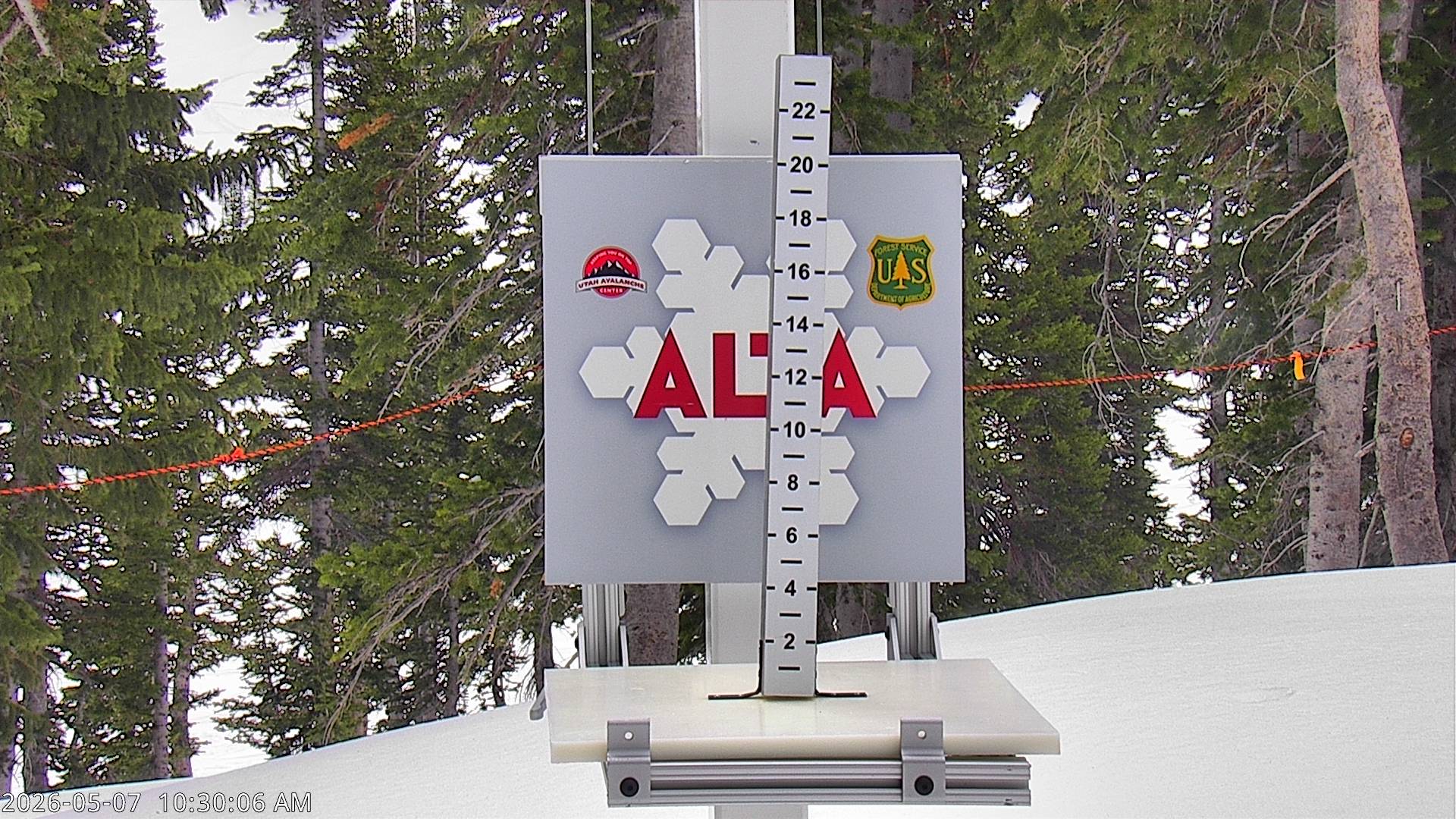 Alta Ski Area snow stake cam