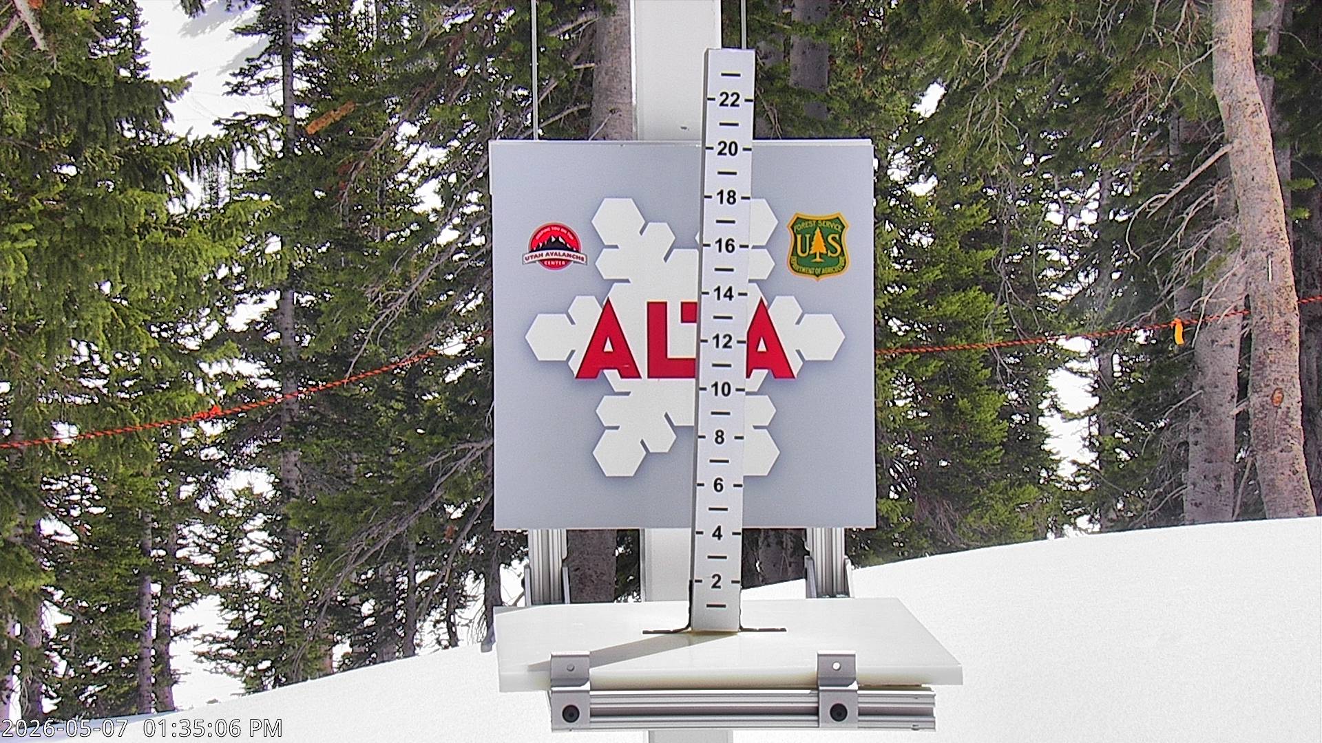 Alta Ski Area snow stake cam
