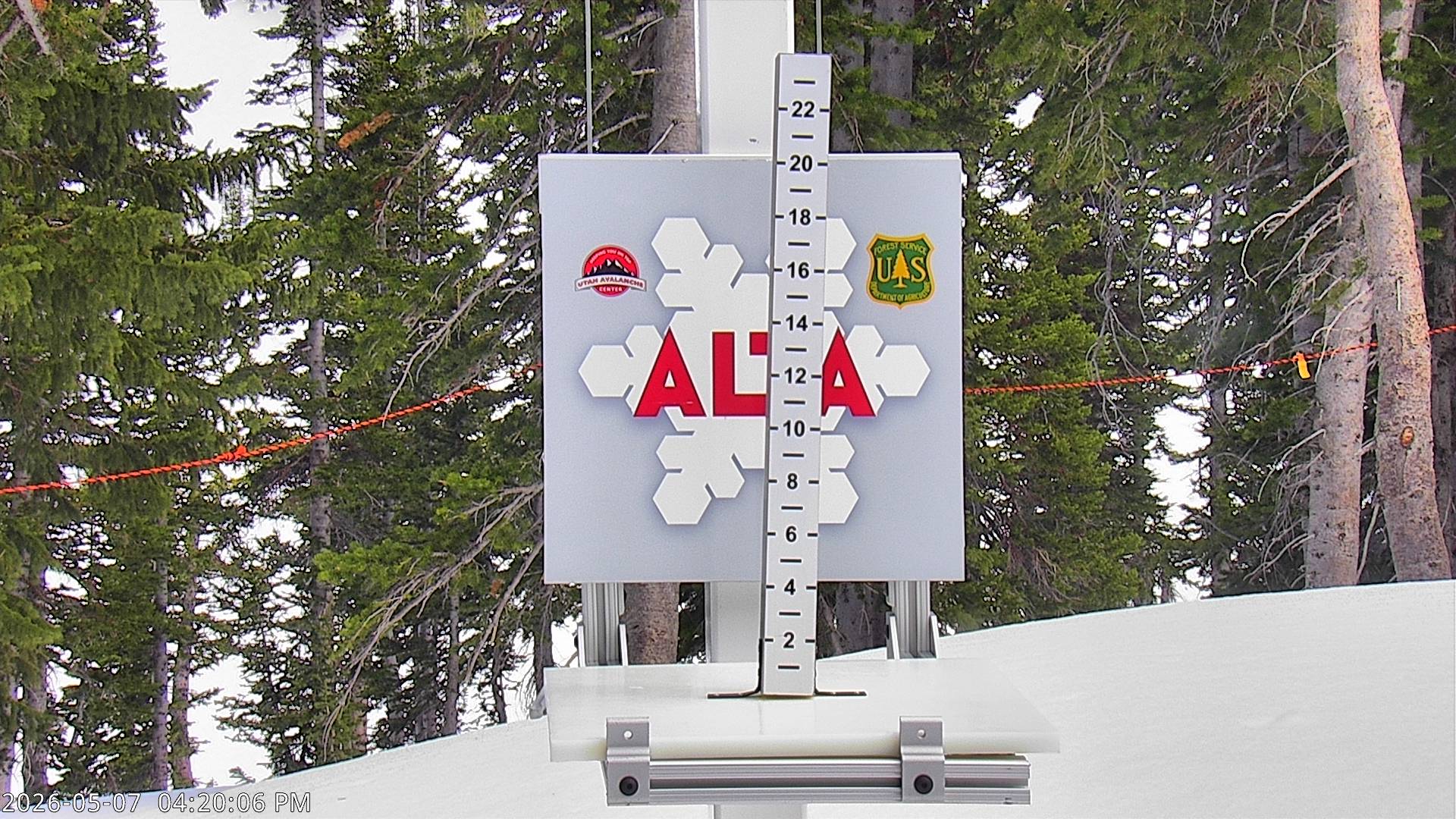 Alta Ski Area snow stake cam