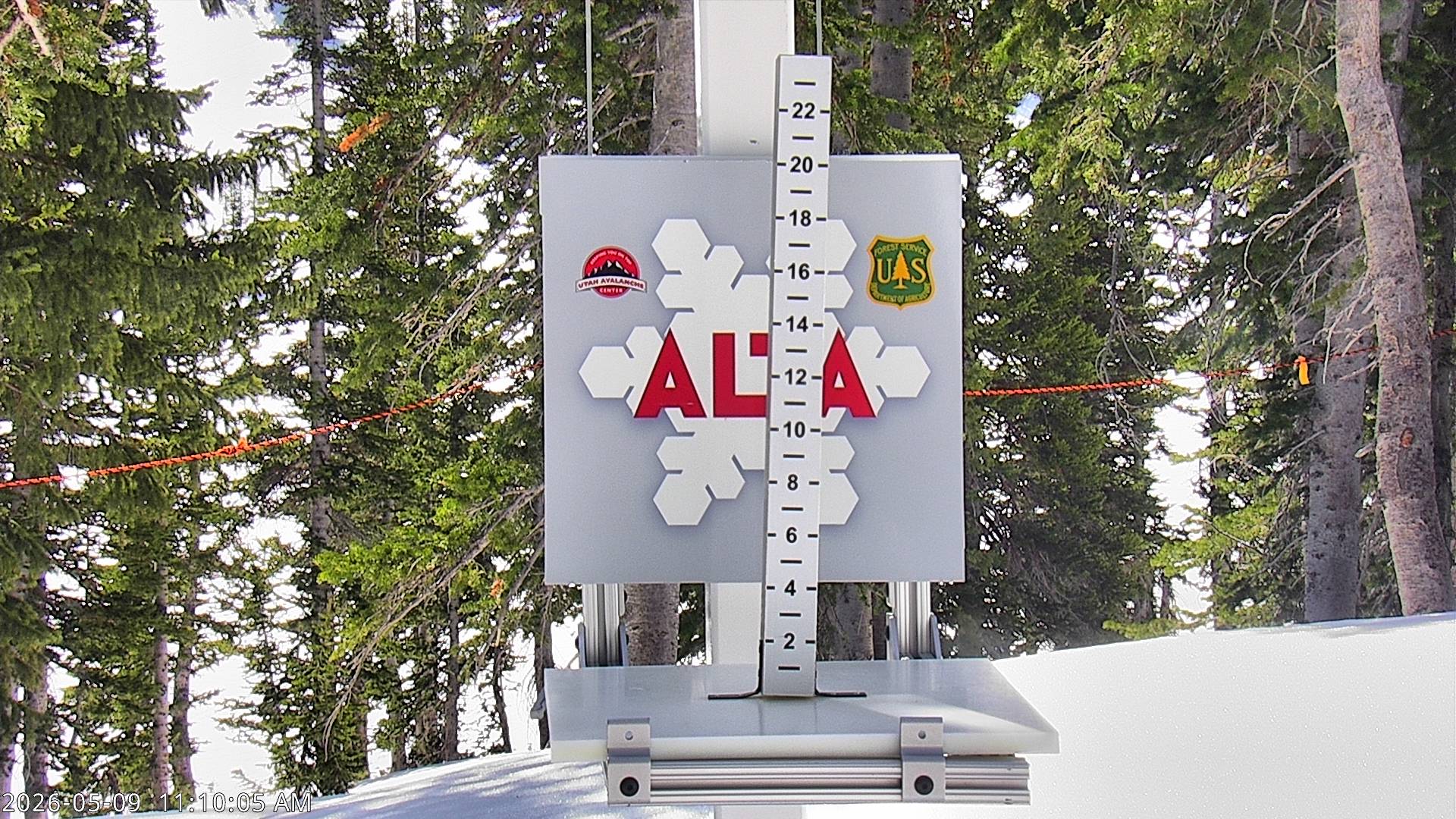 Alta Ski Area snow stake cam