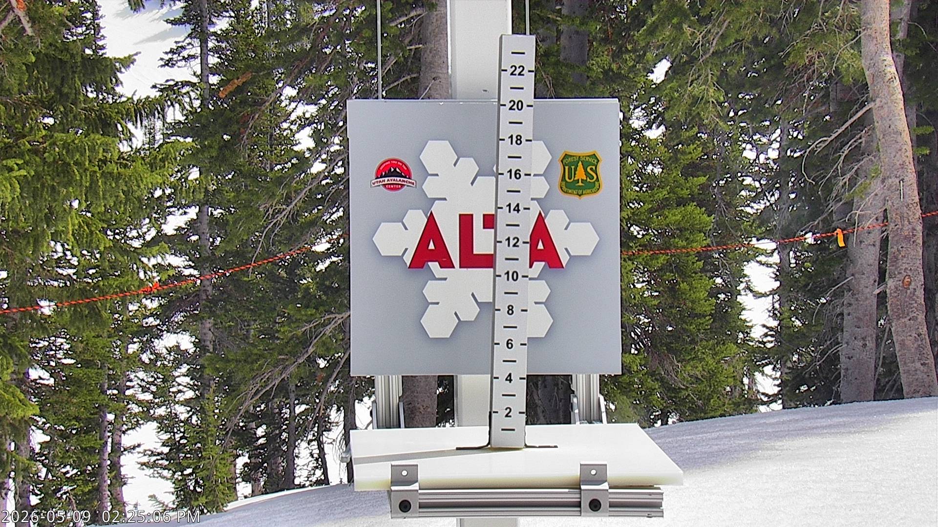 Alta Ski Area snow stake cam