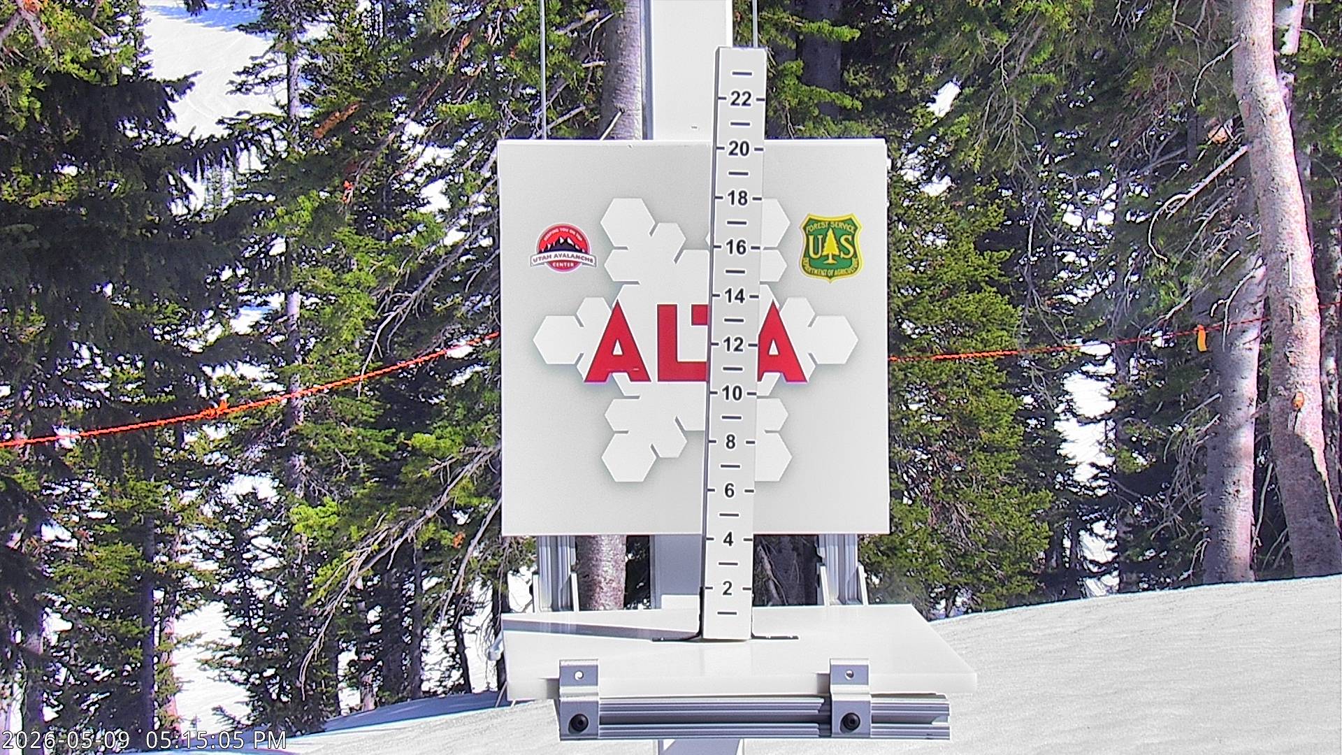 Alta Ski Area snow stake cam