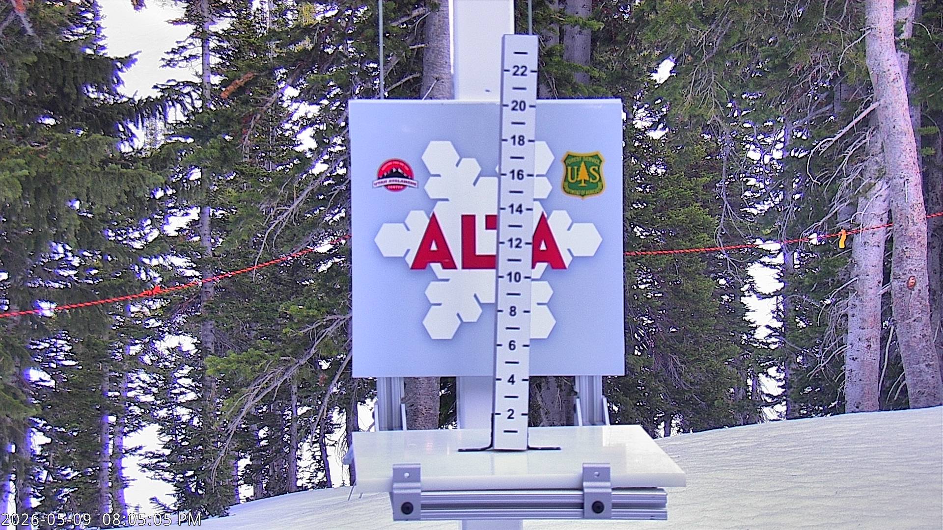 Alta Ski Area snow stake cam