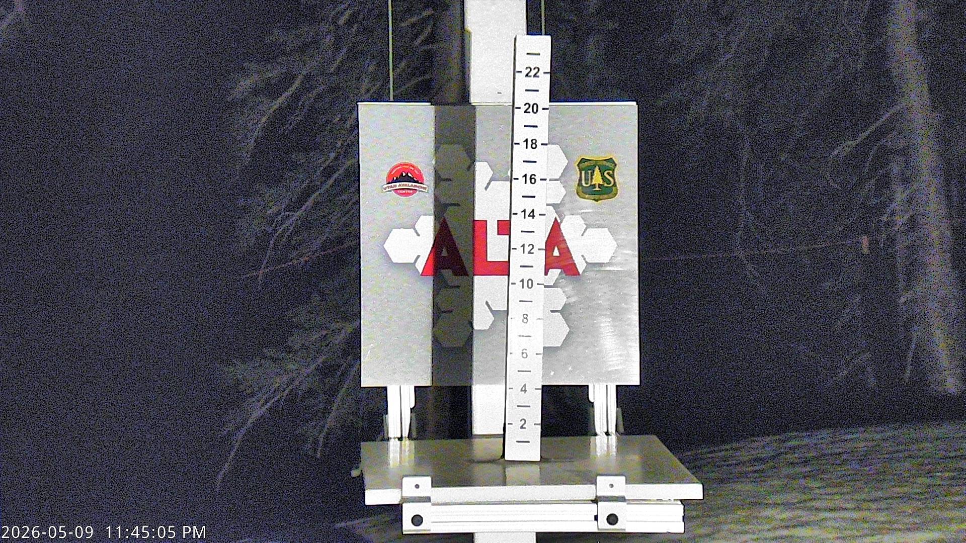 Alta Ski Area snow stake cam