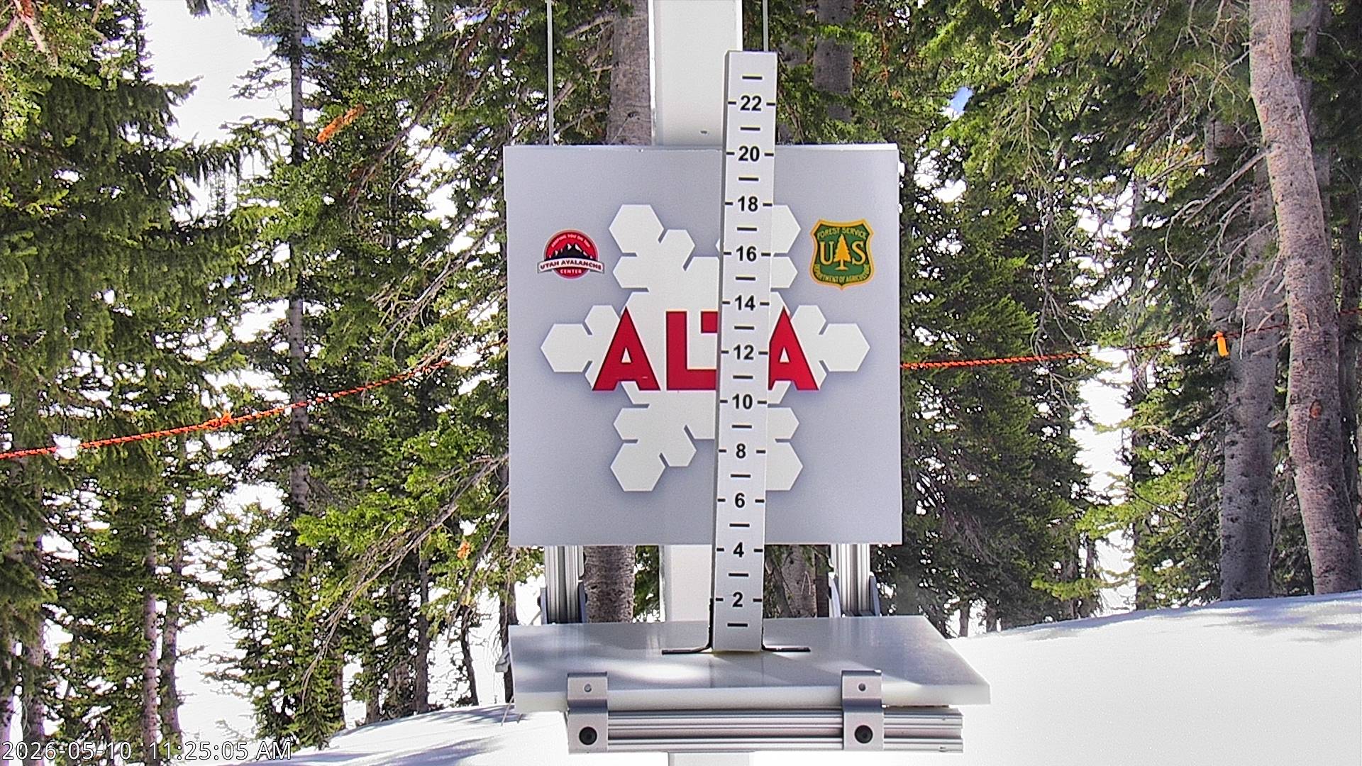 Alta Ski Area snow stake cam