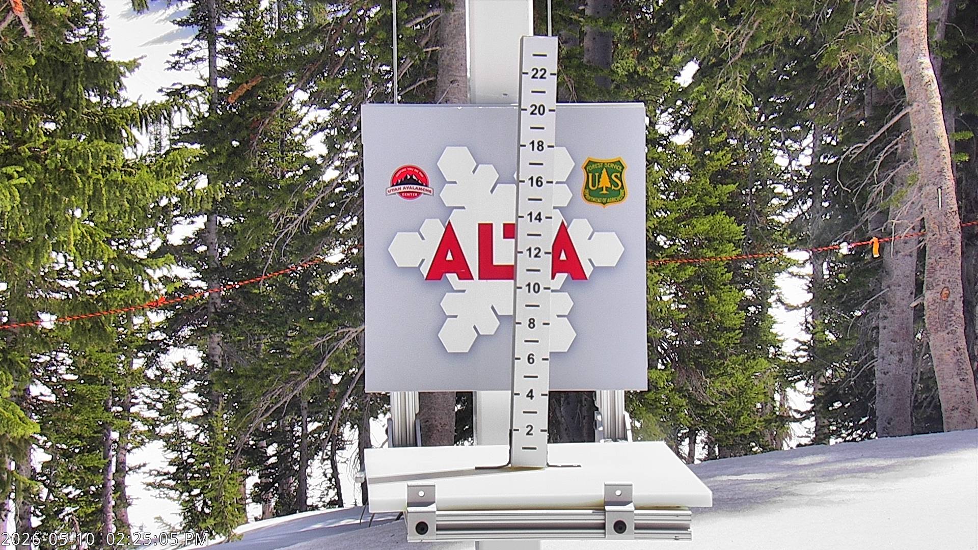 Alta Ski Area snow stake cam