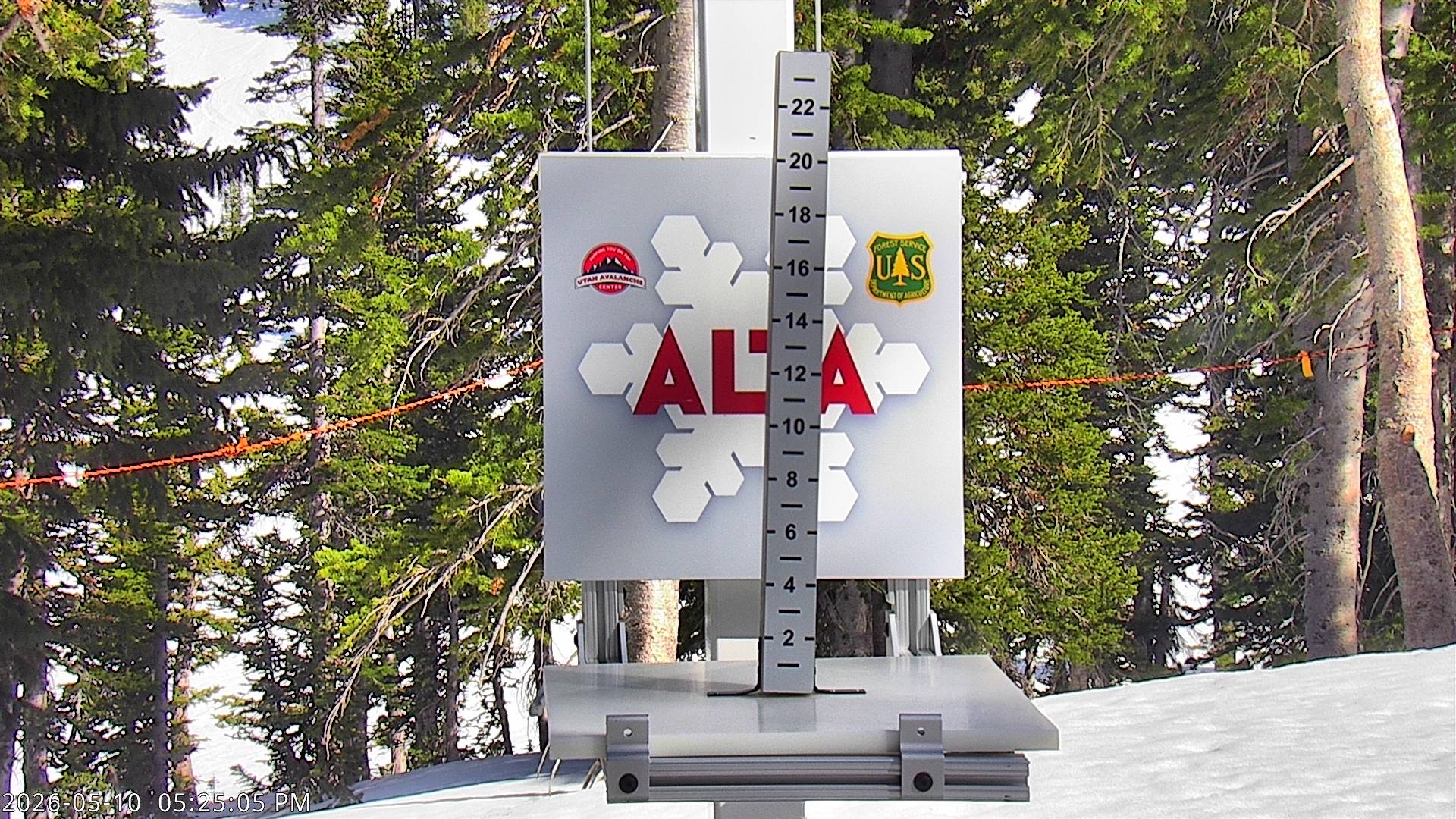 Alta Ski Area snow stake cam