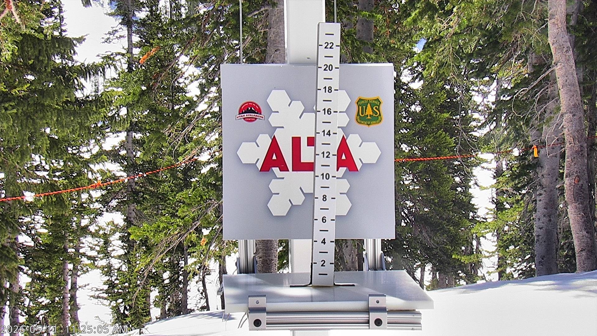 Alta Ski Area snow stake cam