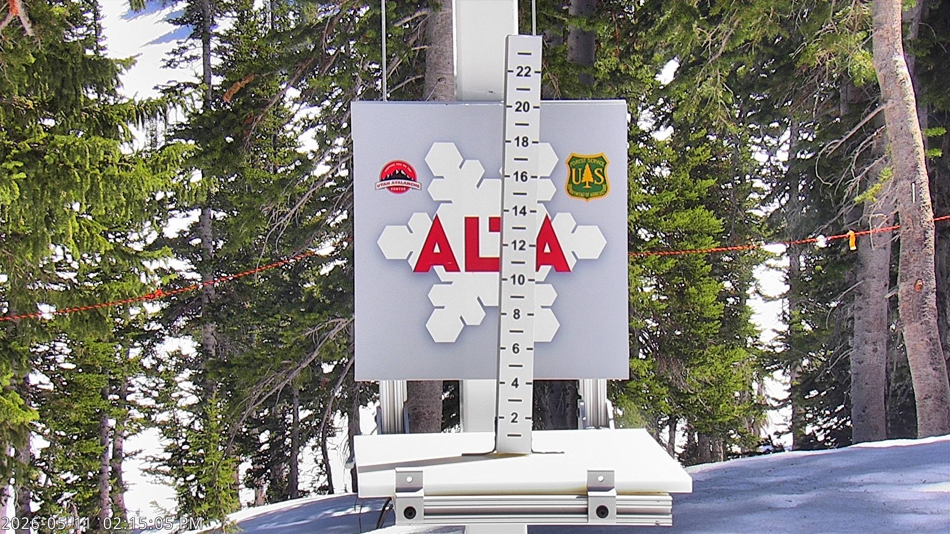Alta Ski Area snow stake cam
