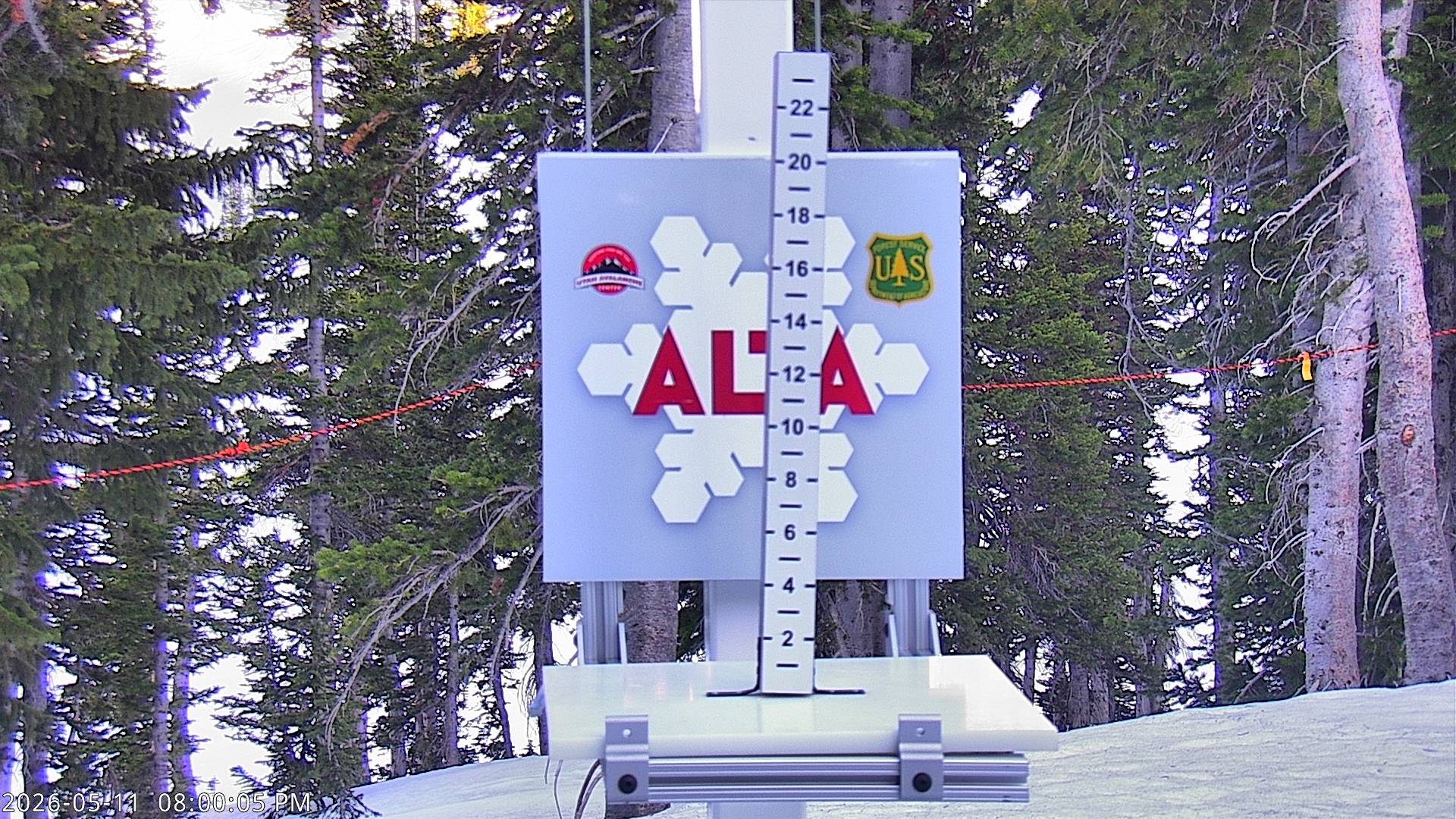 Alta Ski Area snow stake cam