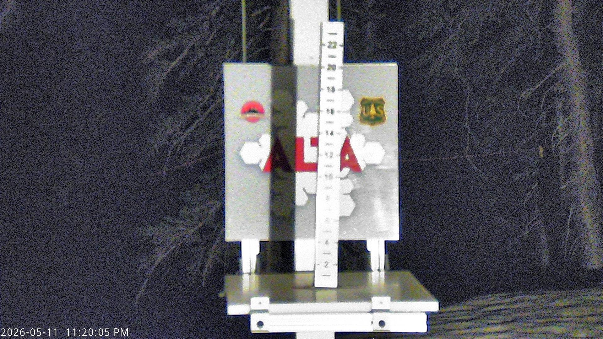 Alta Ski Area snow stake cam
