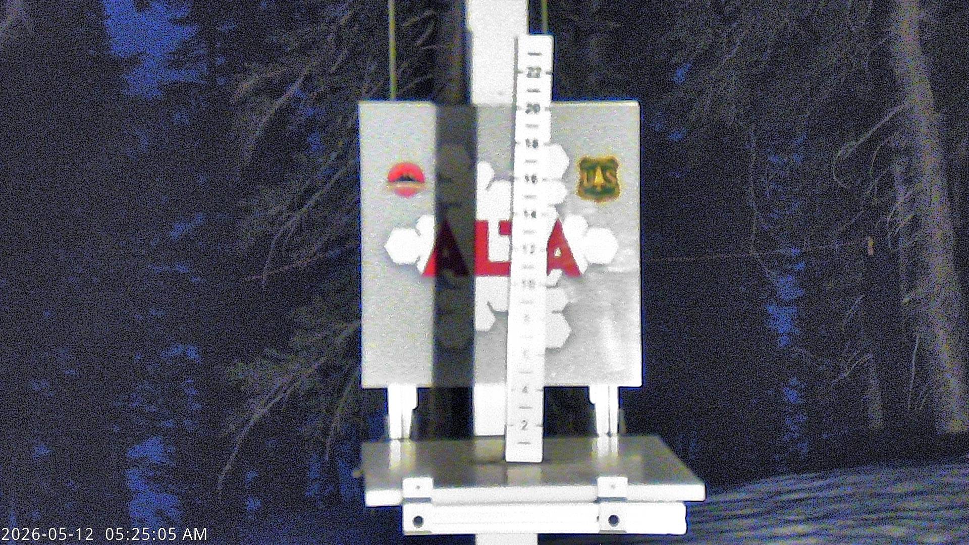 Alta Ski Area snow stake cam