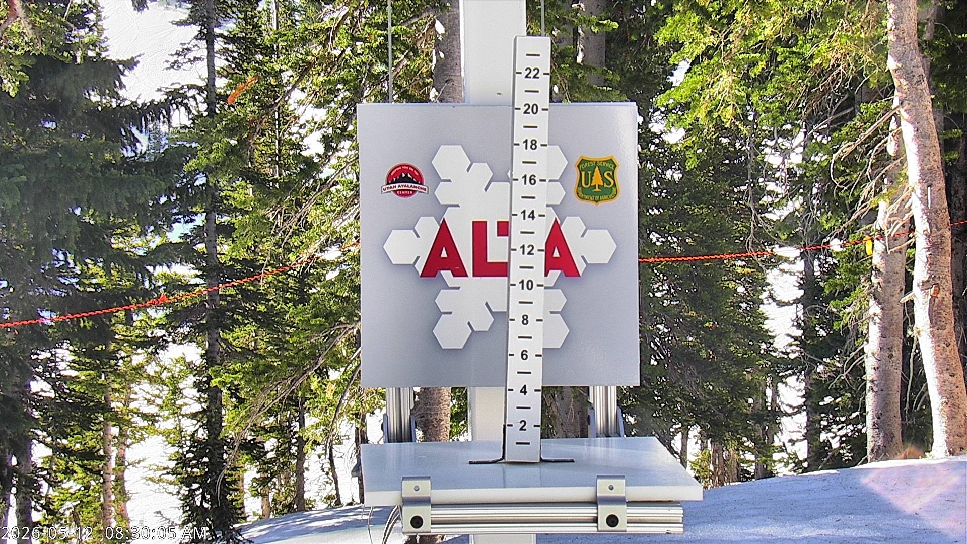 Alta Ski Area snow stake cam